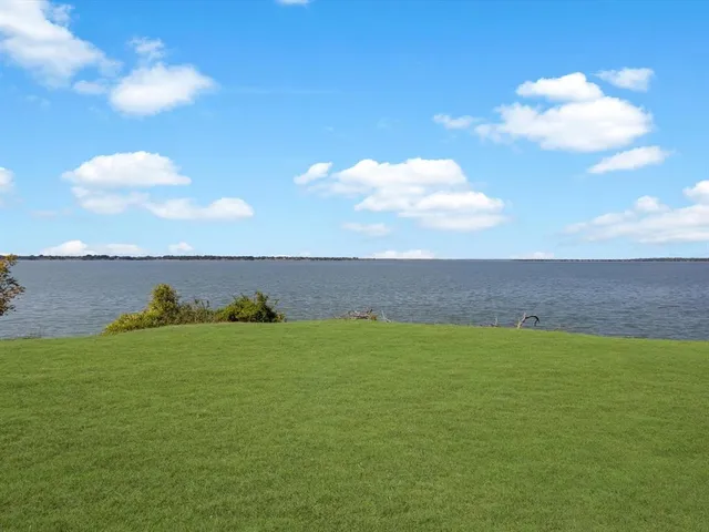 a view of a backyard with large trees