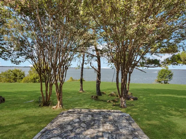 a view of a lake with a lot of a large trees