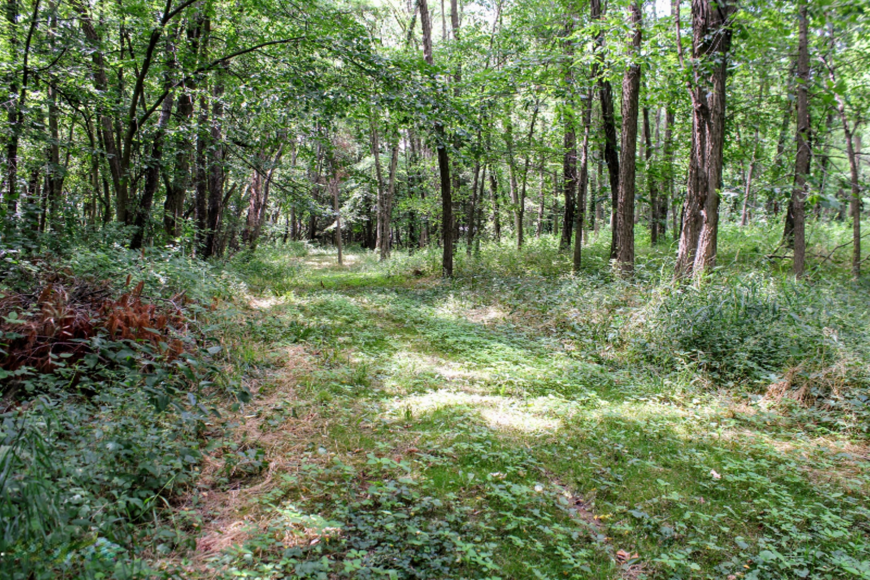 5675 South Stine Road Olivet, MI 49076 - Photo 41 of 104 42