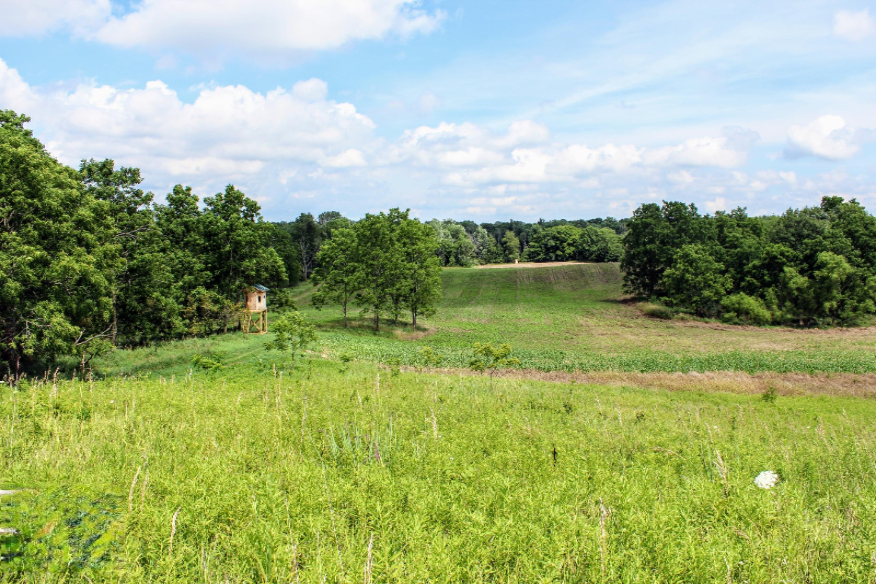 5675 South Stine Road Olivet, MI 49076 - Photo 46 of 104 47