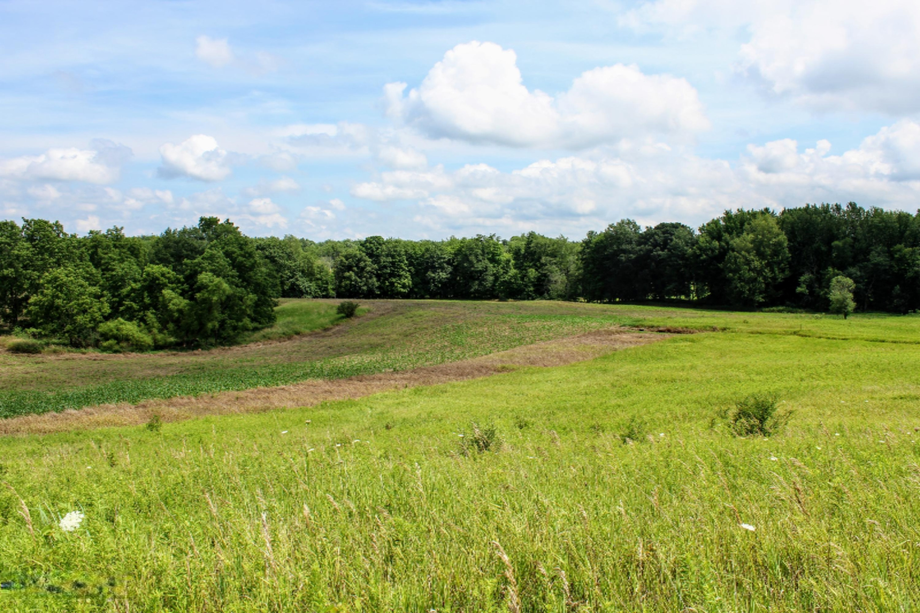 5675 South Stine Road Olivet, MI 49076 - Photo 47 of 104 48