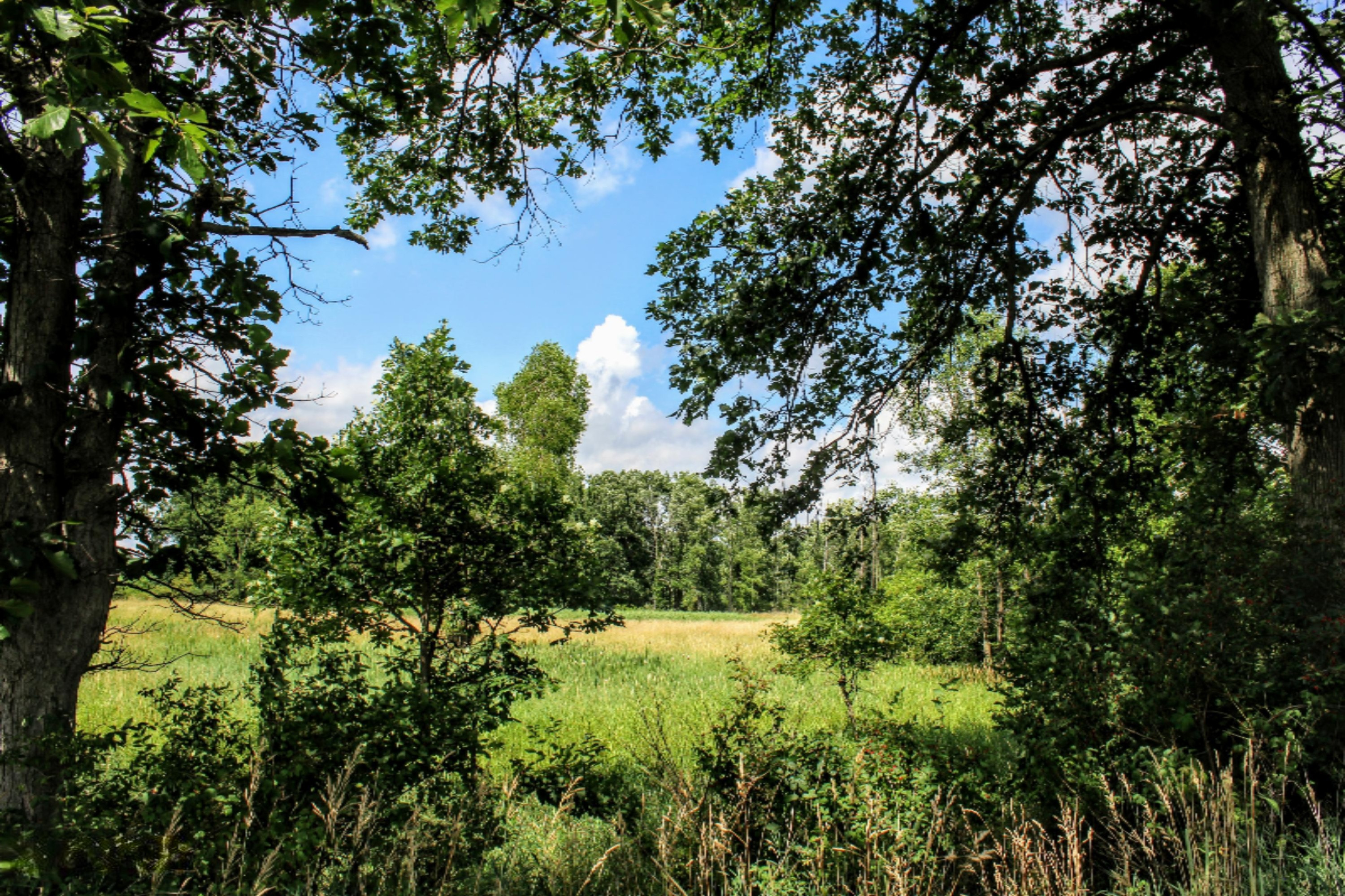5675 South Stine Road Olivet, MI 49076 - Photo 51 of 104 52