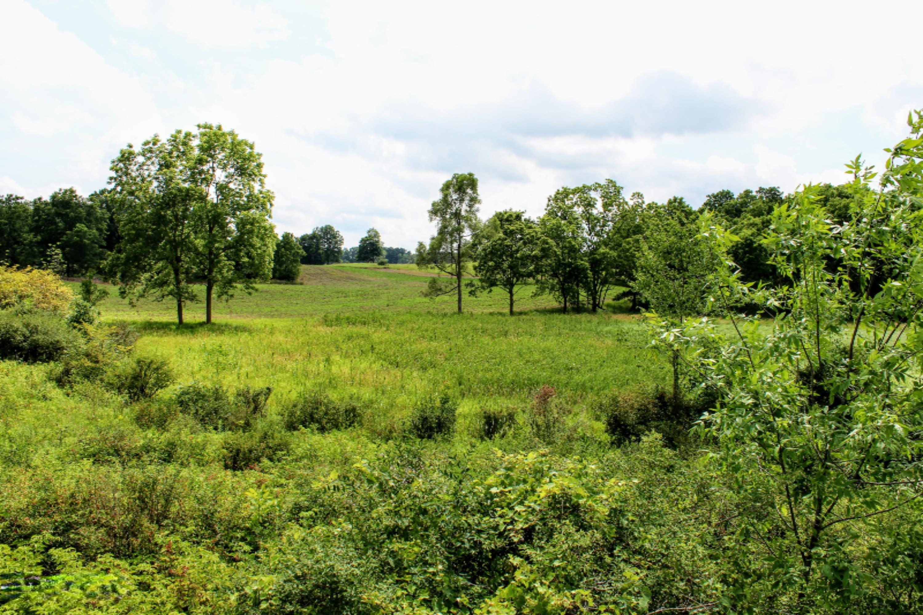 5675 South Stine Road Olivet, MI 49076 - Photo 53 of 104 54
