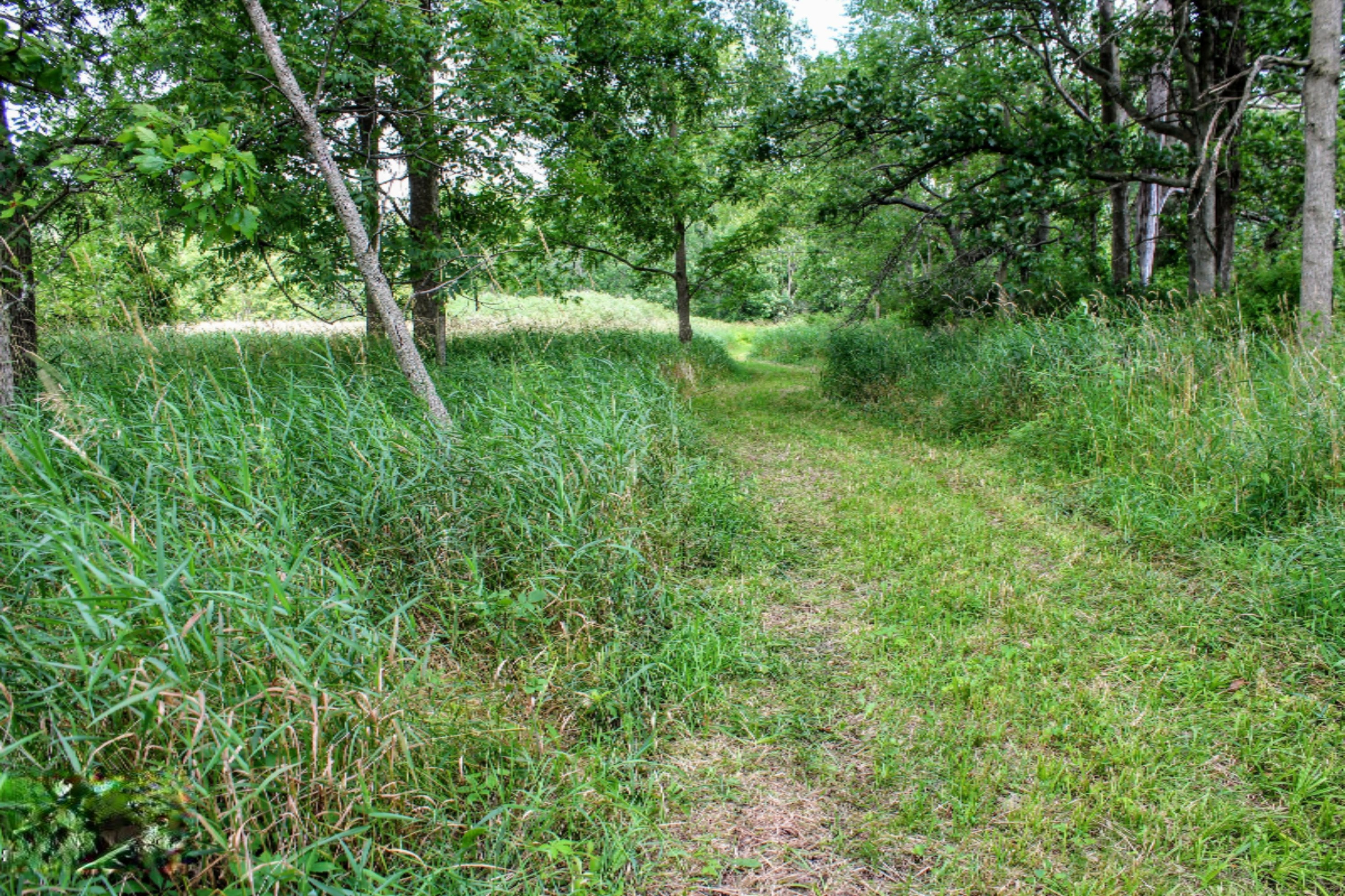 5675 South Stine Road Olivet, MI 49076 - Photo 55 of 104 56