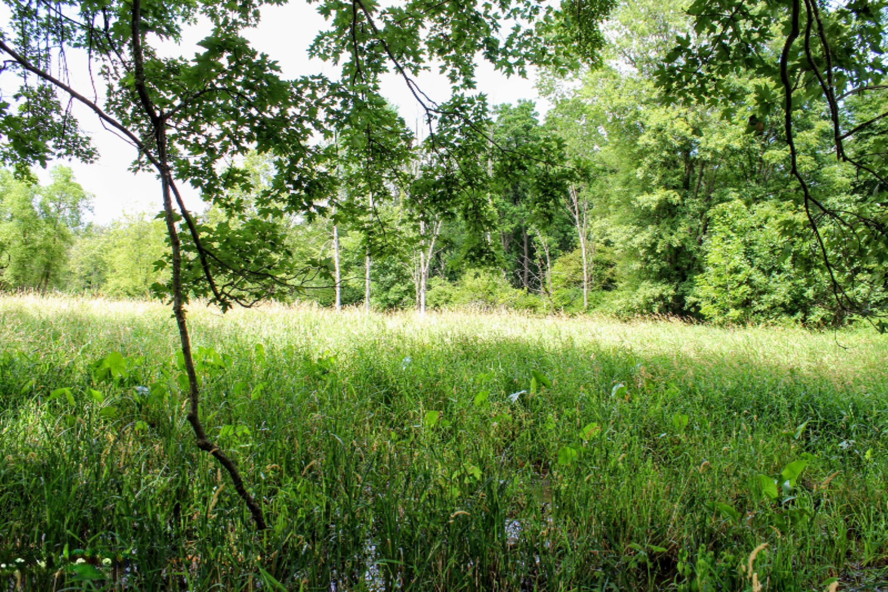 5675 South Stine Road Olivet, MI 49076 - Photo 57 of 104 58