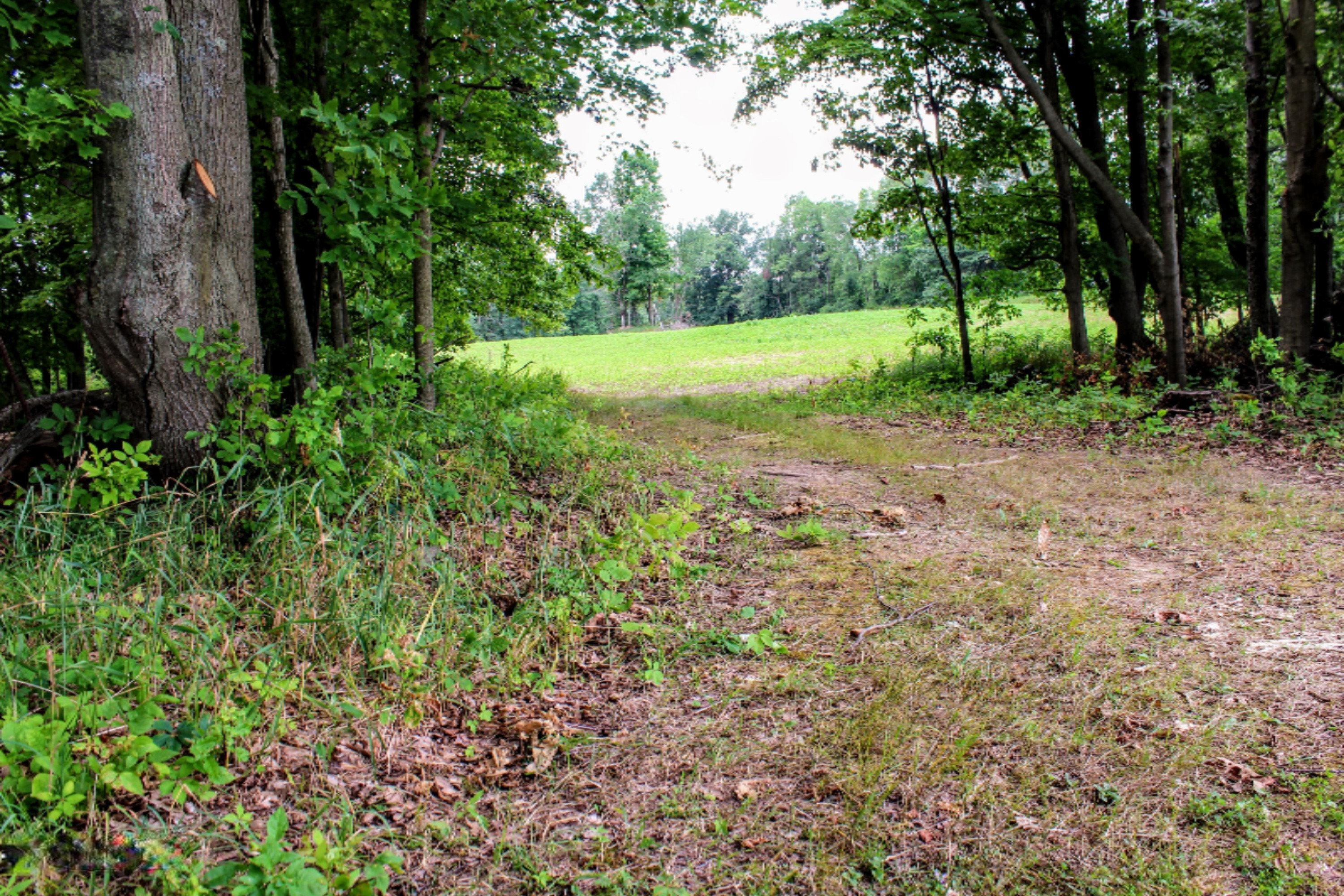 5675 South Stine Road Olivet, MI 49076 - Photo 64 of 104 65