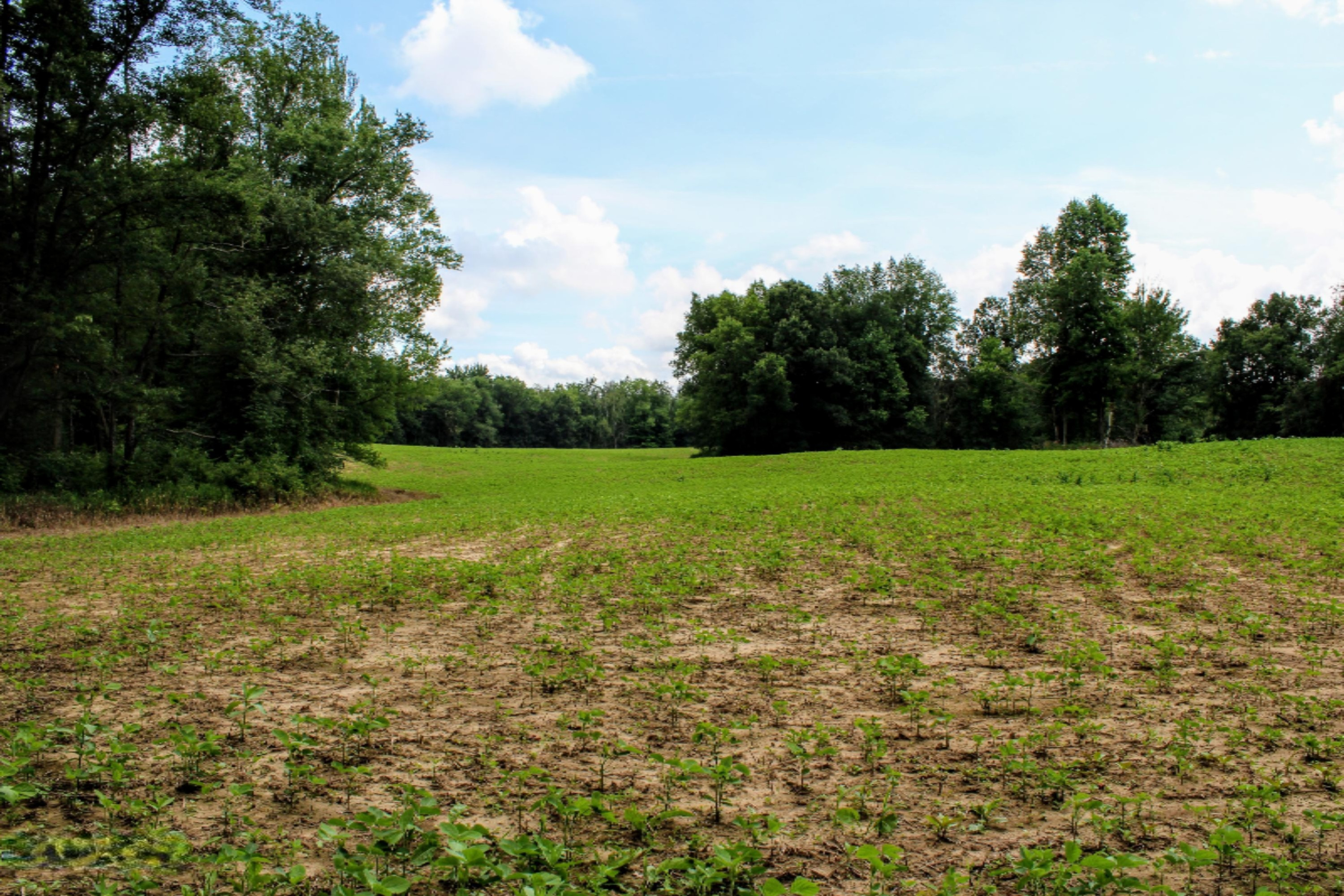 5675 South Stine Road Olivet, MI 49076 - Photo 65 of 104 66