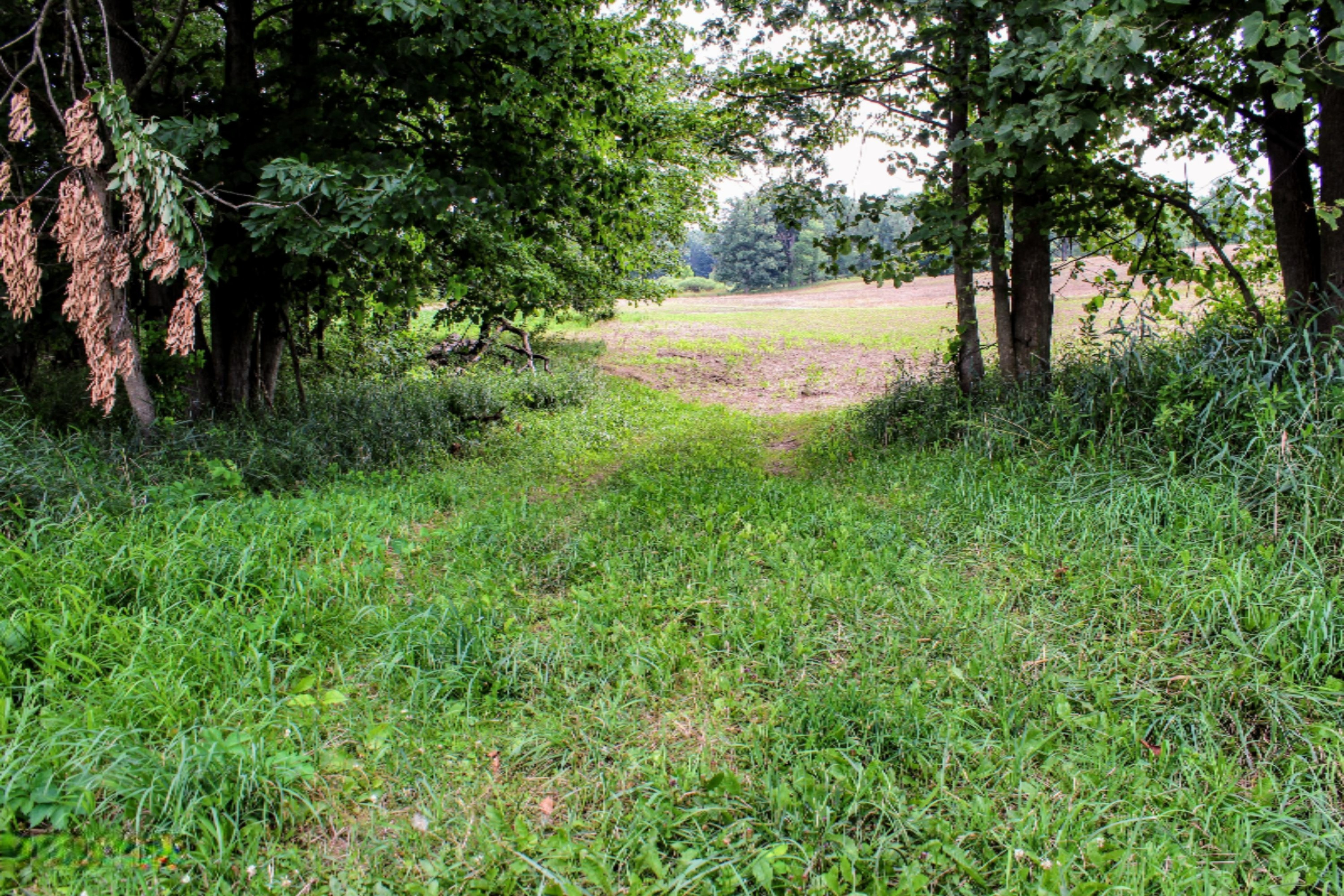 5675 South Stine Road Olivet, MI 49076 - Photo 67 of 104 68