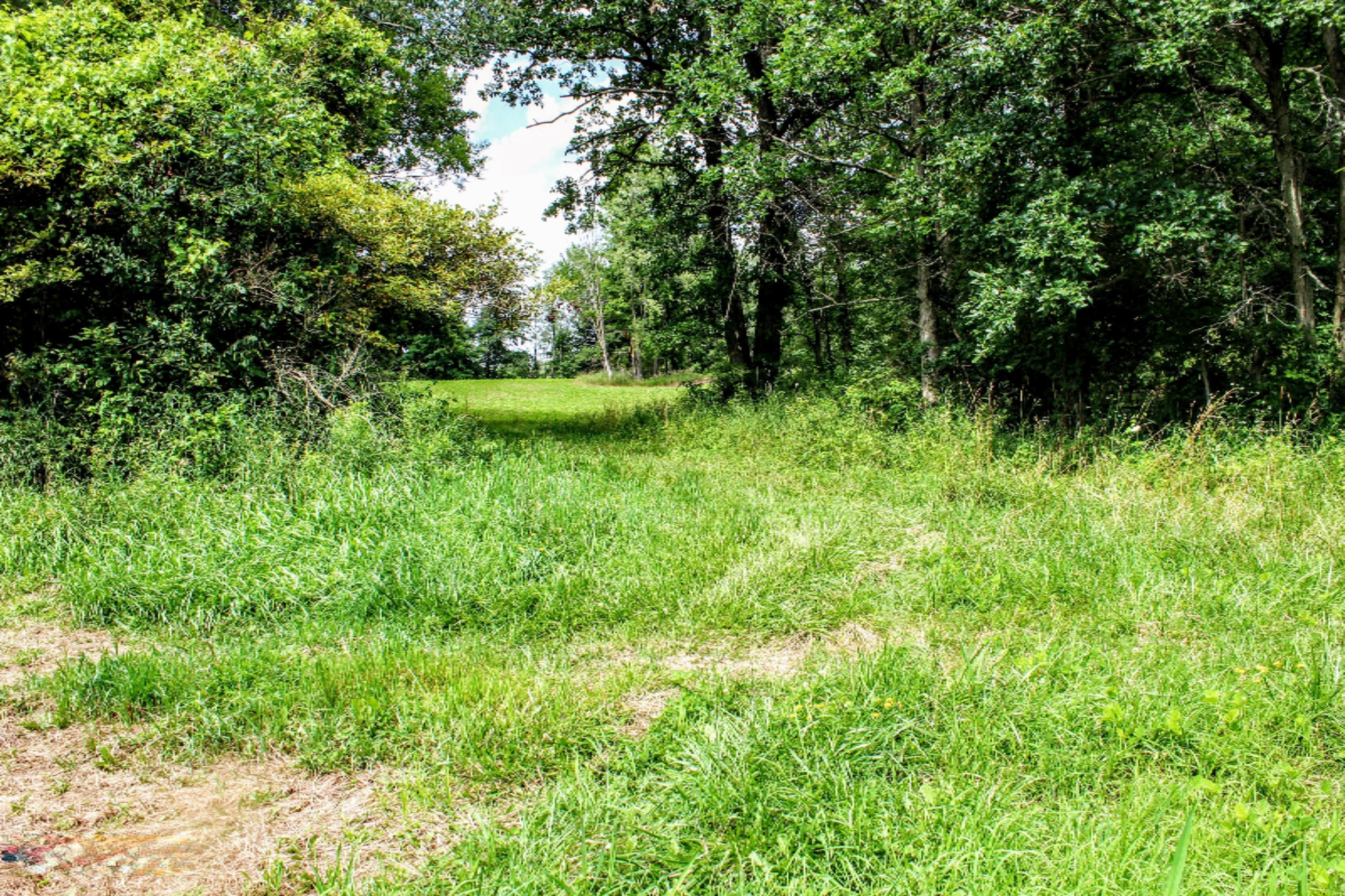 5675 South Stine Road Olivet, MI 49076 - Photo 69 of 104 70