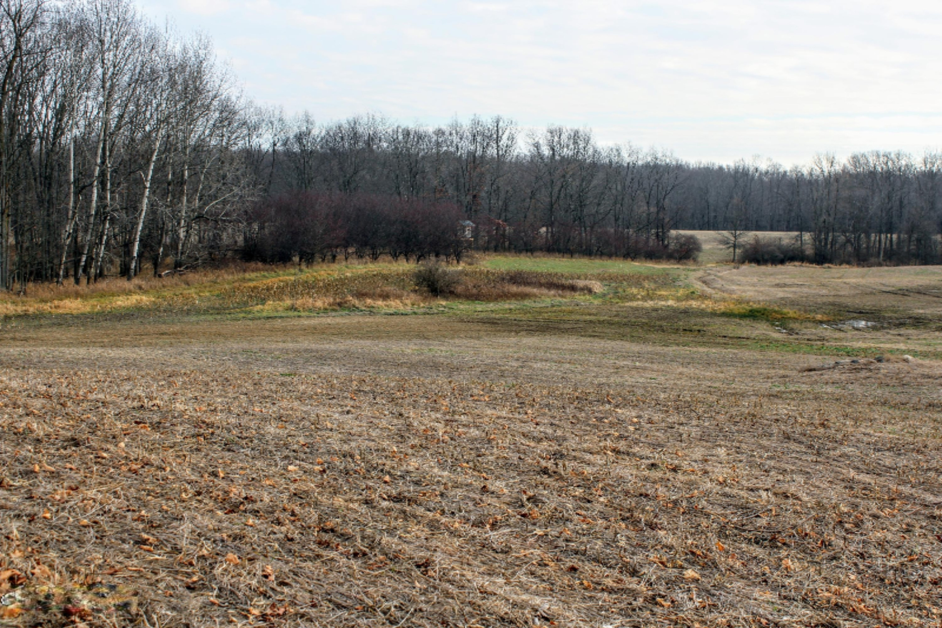 5675 South Stine Road Olivet, MI 49076 - Photo 7 of 104 8