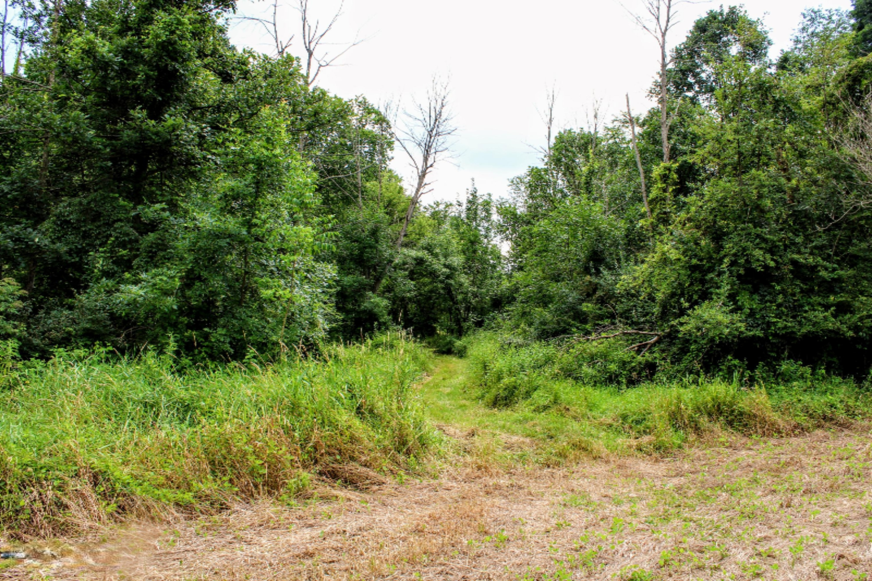 5675 South Stine Road Olivet, MI 49076 - Photo 71 of 104 72