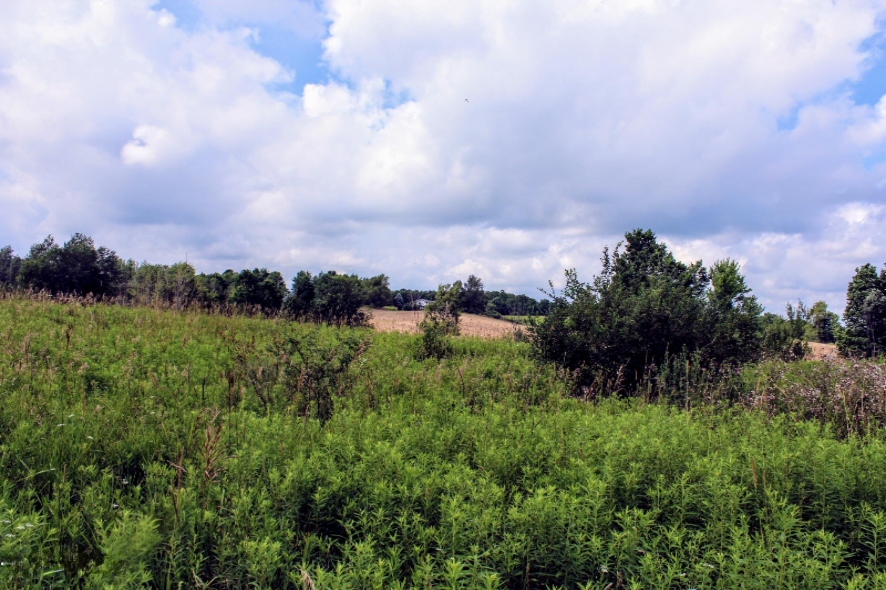 5675 South Stine Road Olivet, MI 49076 - Photo 74 of 104 75