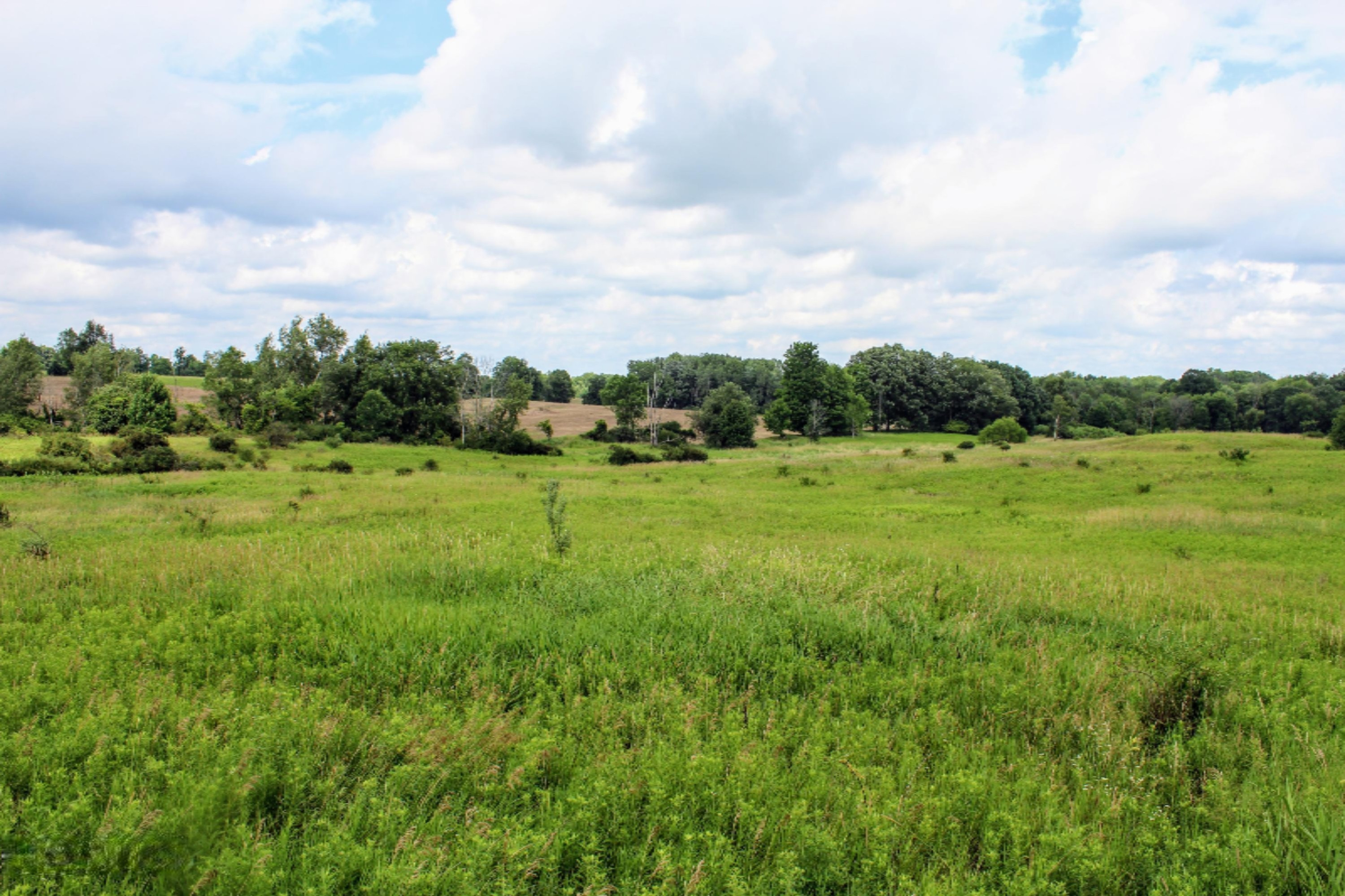 5675 South Stine Road Olivet, MI 49076 - Photo 78 of 104 79