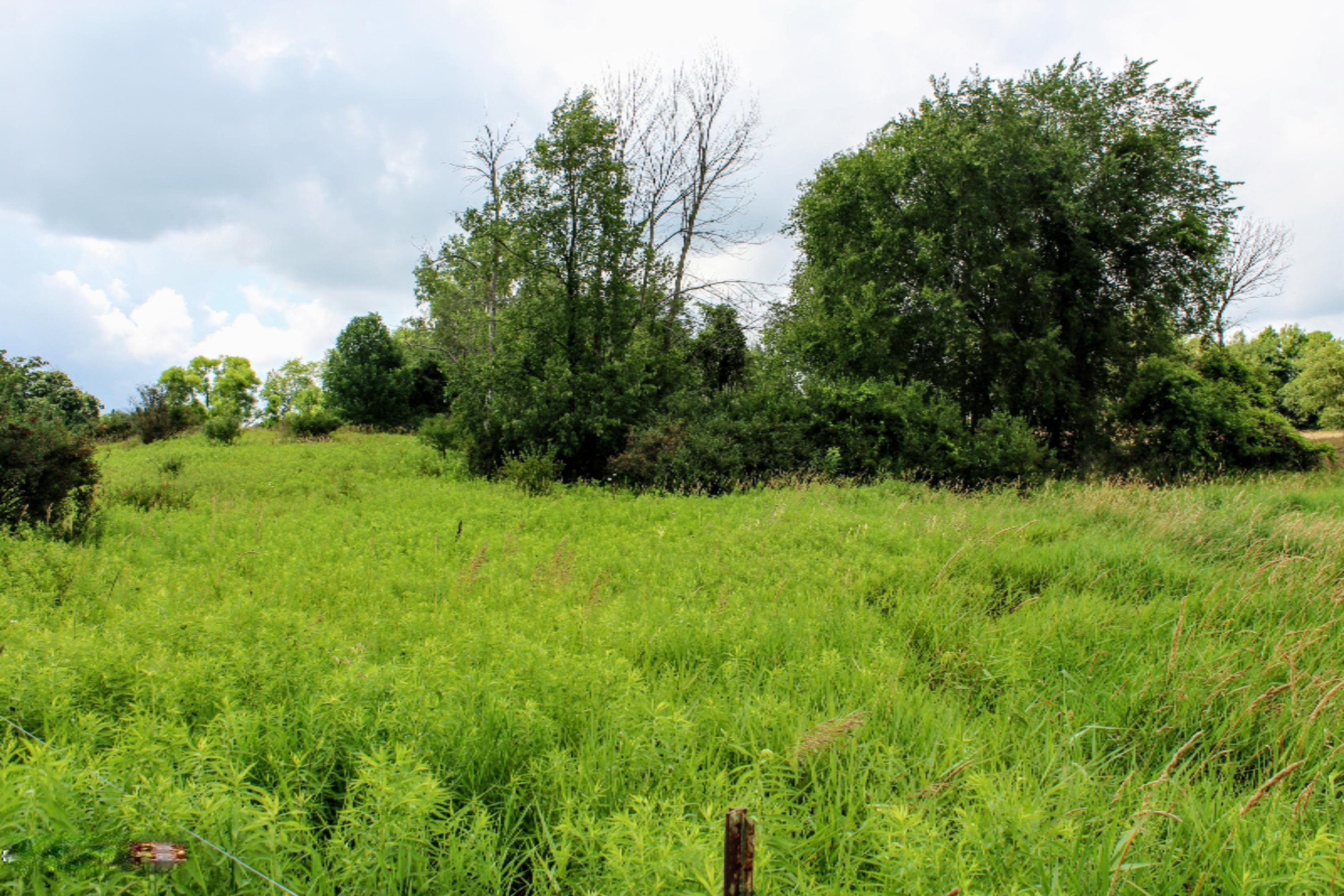 5675 South Stine Road Olivet, MI 49076 - Photo 79 of 104 80