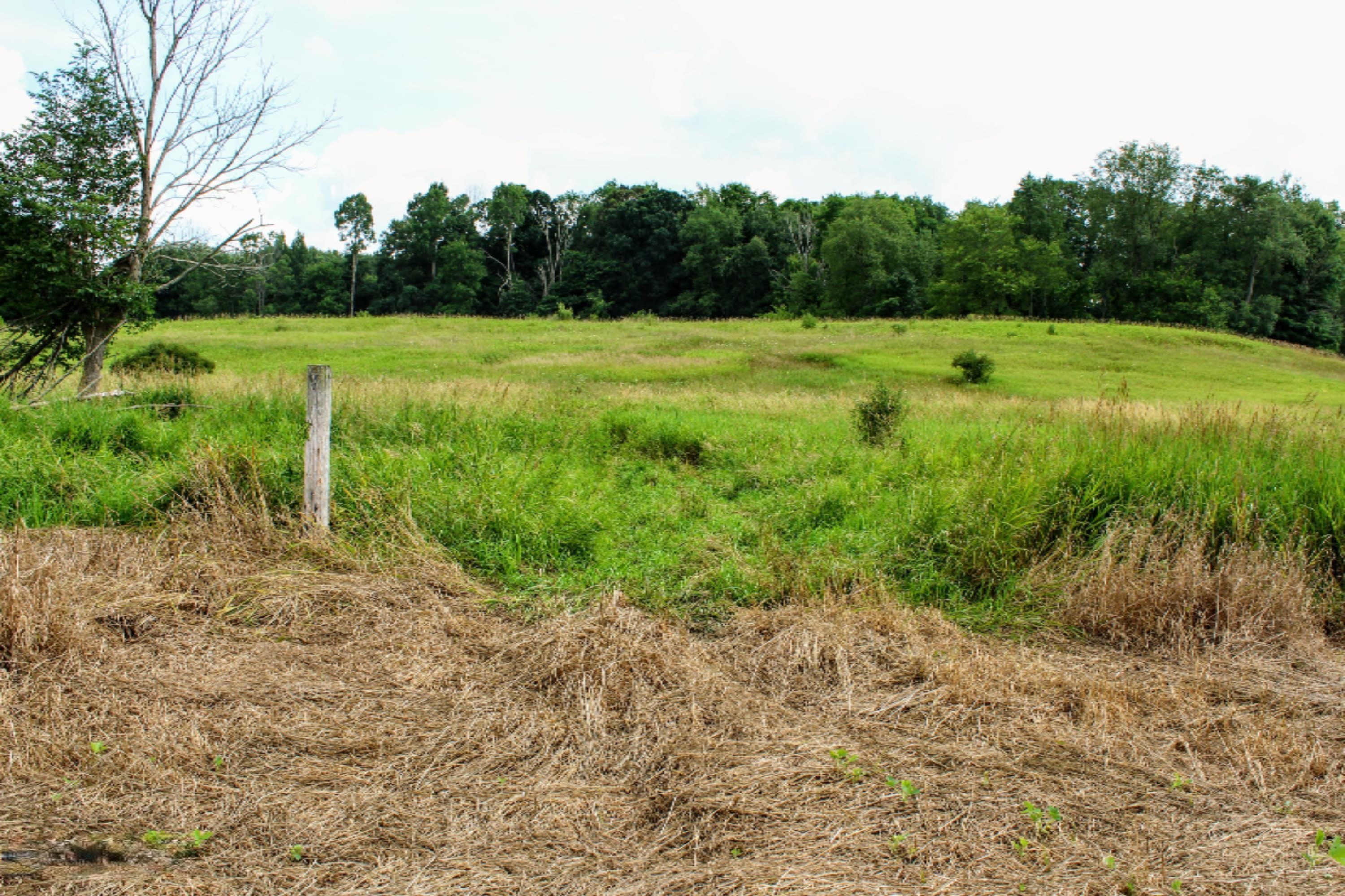 5675 South Stine Road Olivet, MI 49076 - Photo 80 of 104 81