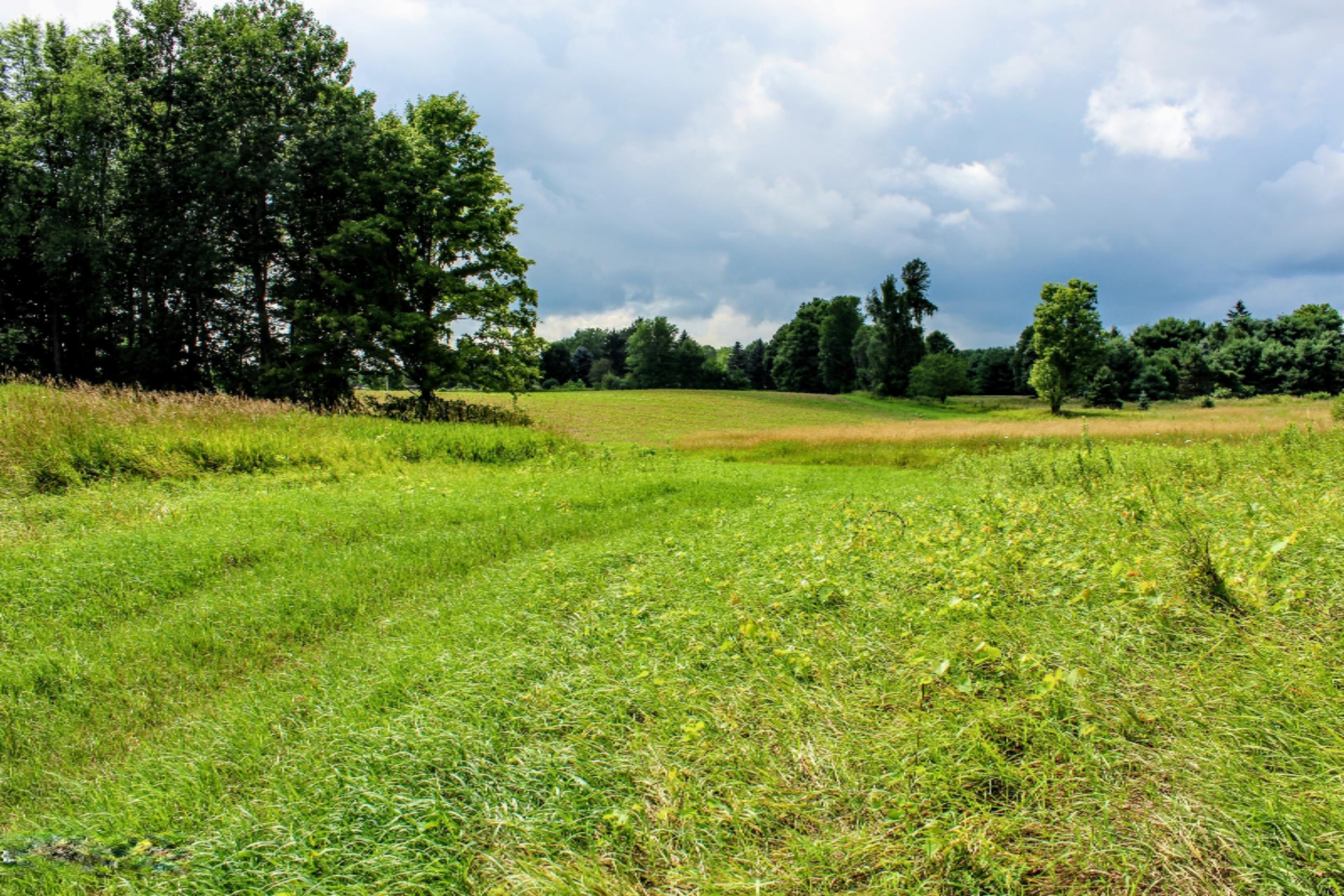 5675 South Stine Road Olivet, MI 49076 - Photo 84 of 104 85