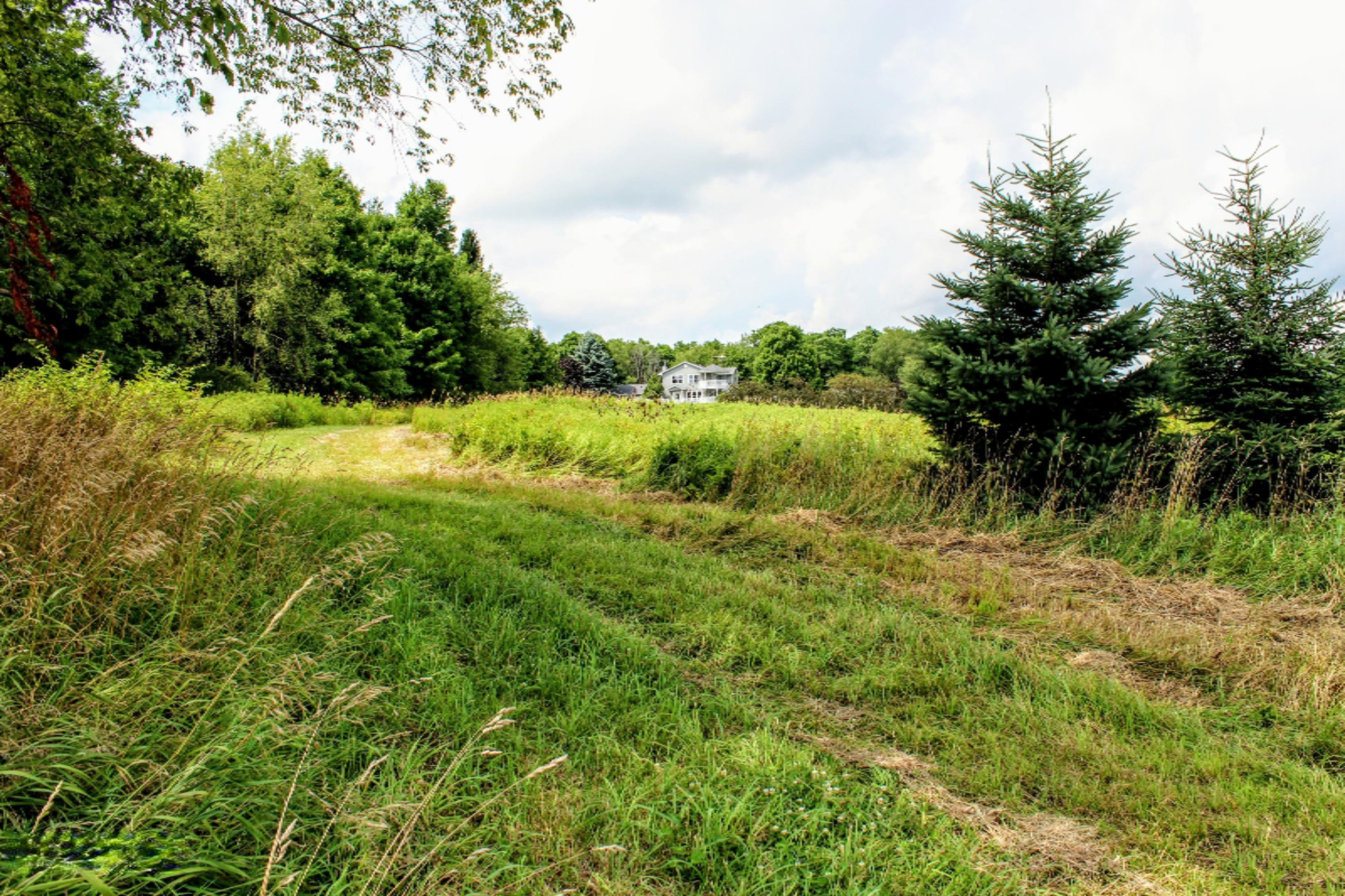 5675 South Stine Road Olivet, MI 49076 - Photo 86 of 104 87