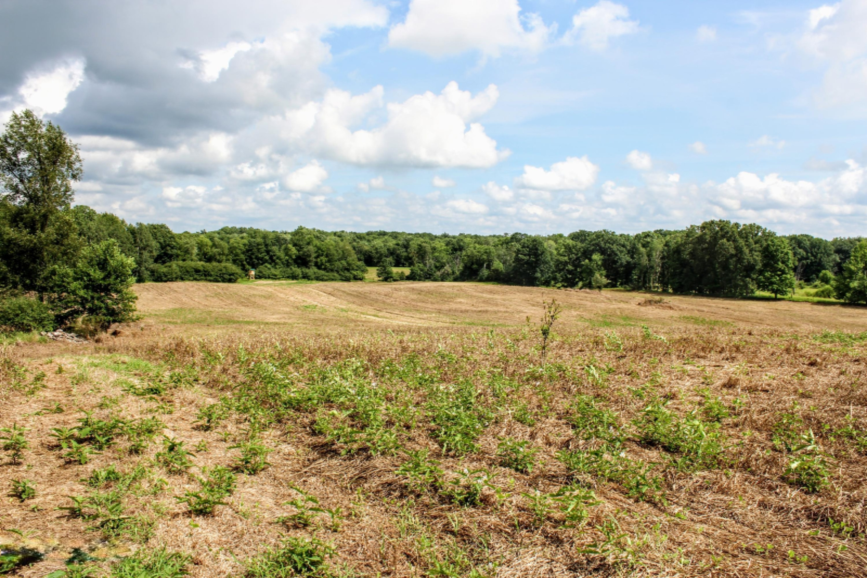 5675 South Stine Road Olivet, MI 49076 - Photo 87 of 104 88