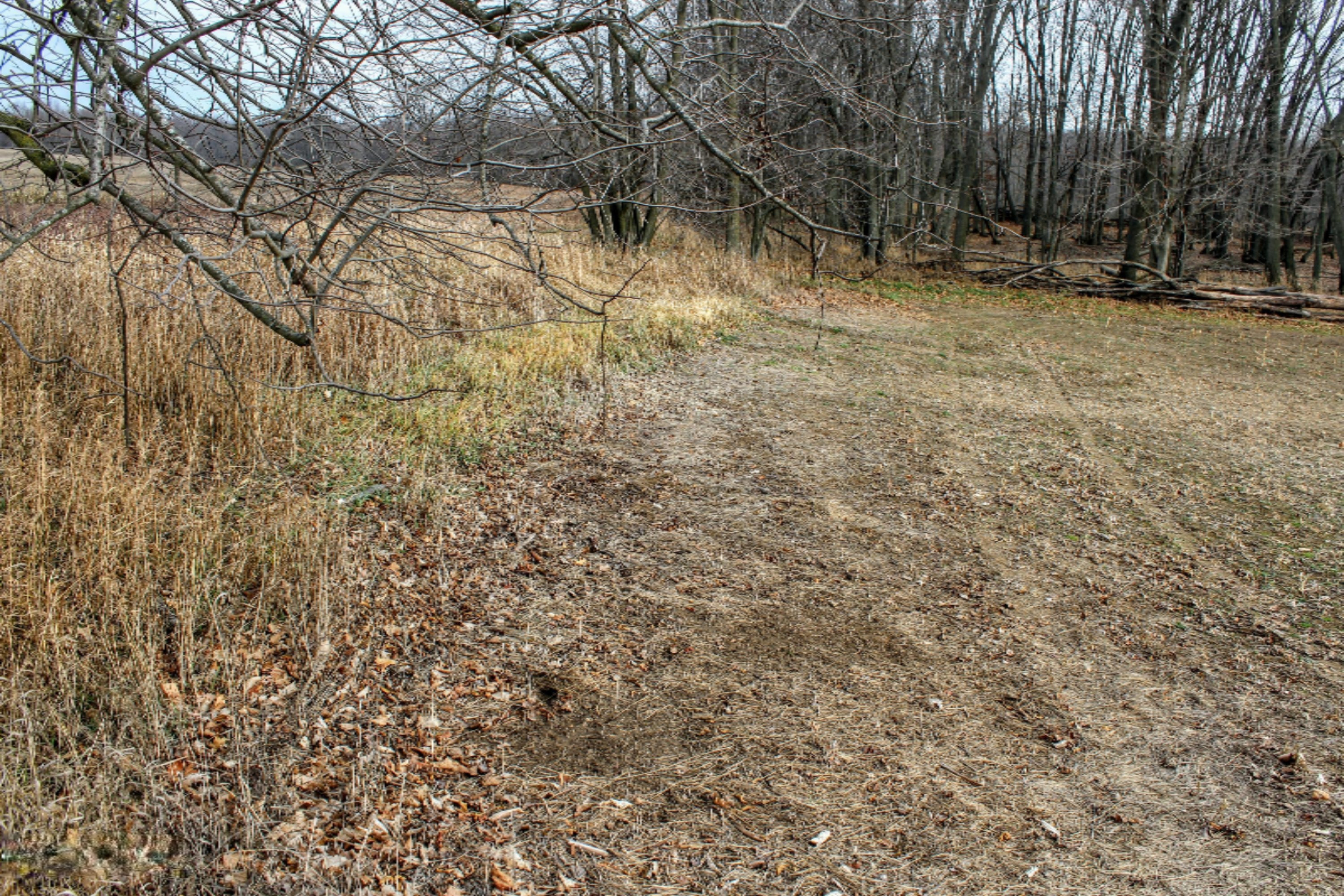 5675 South Stine Road Olivet, MI 49076 - Photo 89 of 104 90