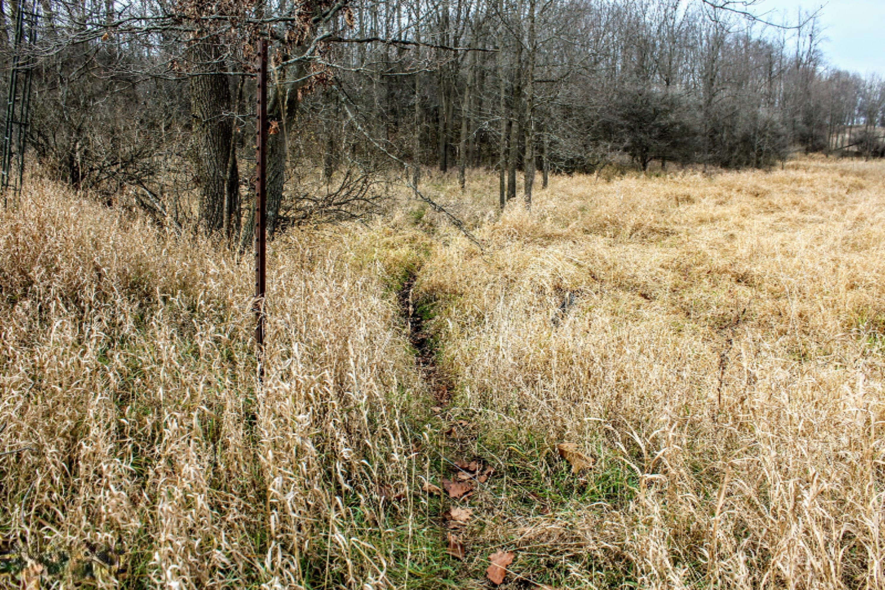 5675 South Stine Road Olivet, MI 49076 - Photo 96 of 104 97