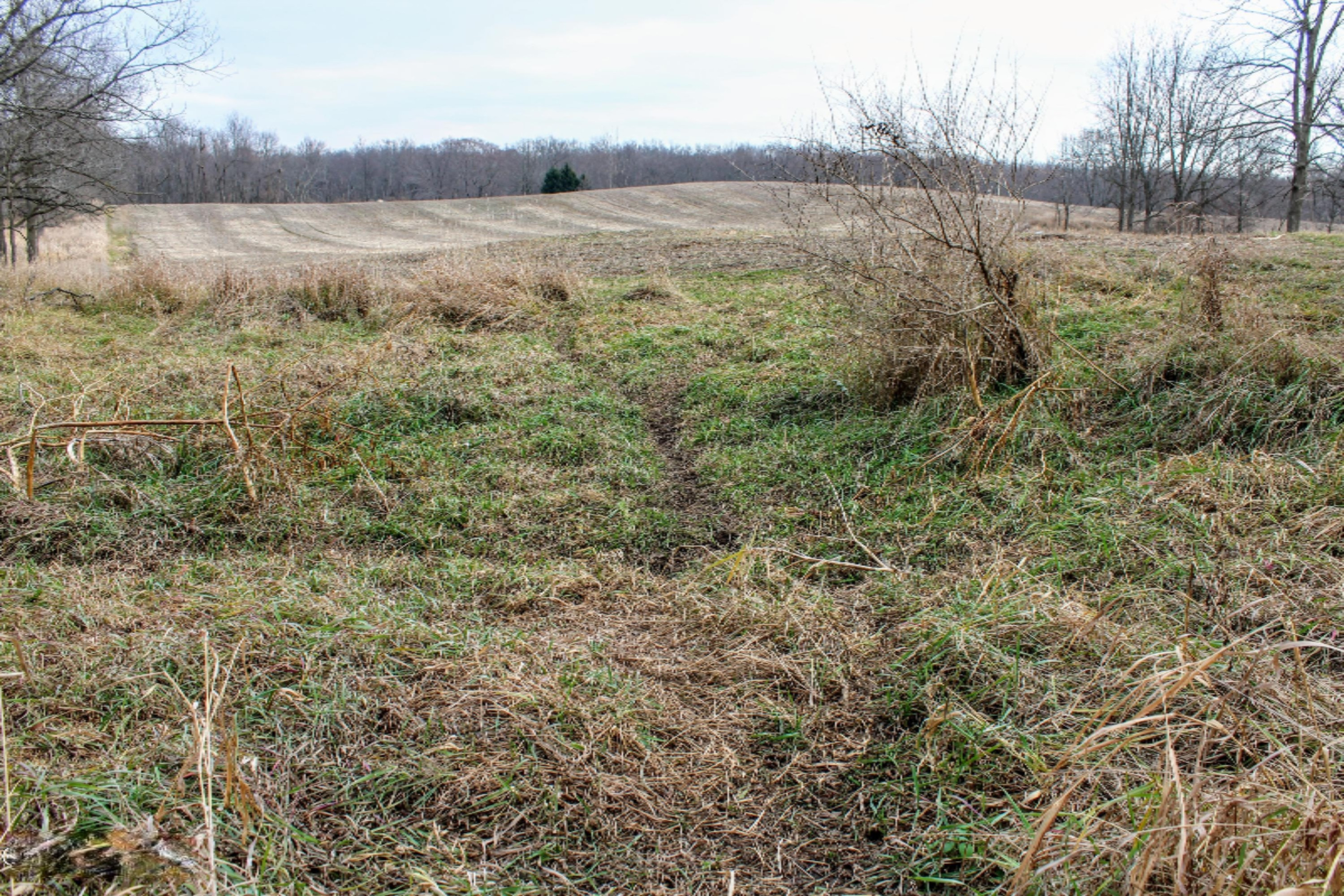 5675 South Stine Road Olivet, MI 49076 - Photo 97 of 104 98