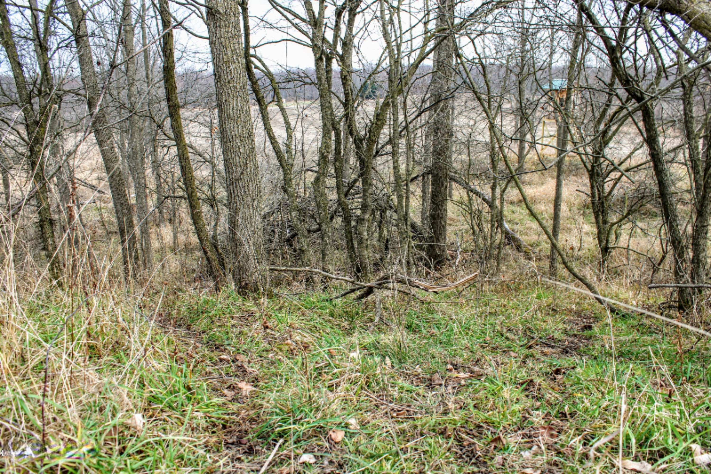 5675 South Stine Road Olivet, MI 49076 - Photo 98 of 104 99