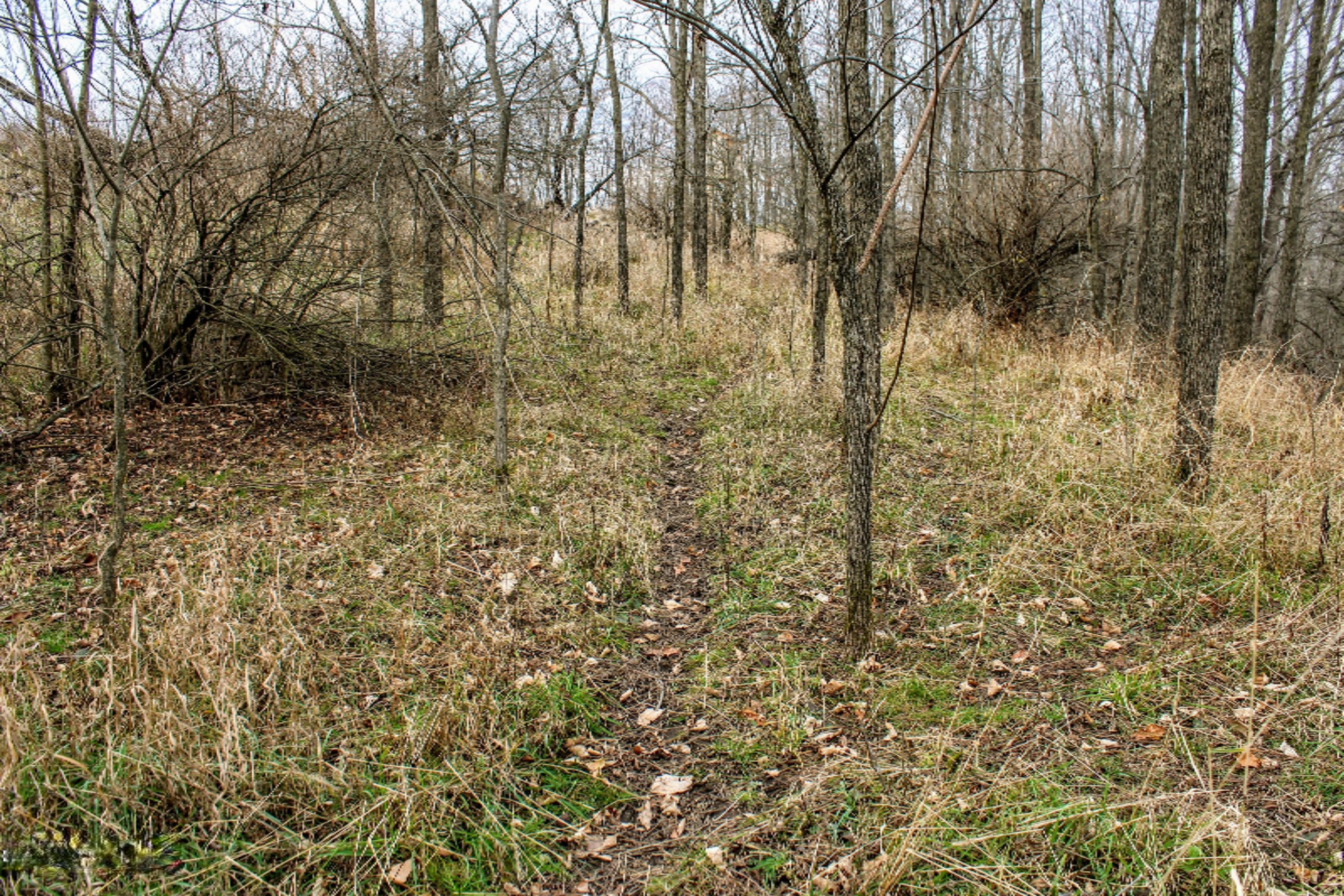 5675 South Stine Road Olivet, MI 49076 - Photo 99 of 104 100