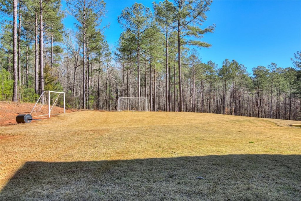 1076 Providence Ferry Road Lincolnton, GA 30817 - Photo 53 of 66 Gallery Image 53