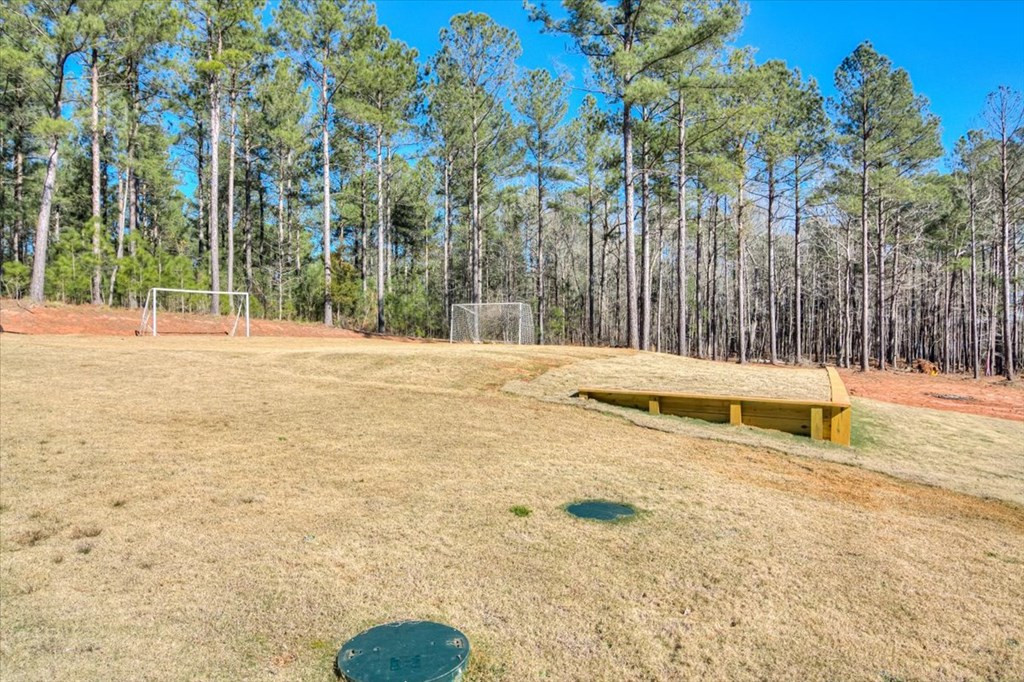 1076 Providence Ferry Road Lincolnton, GA 30817 - Photo 55 of 66 Gallery Image 55