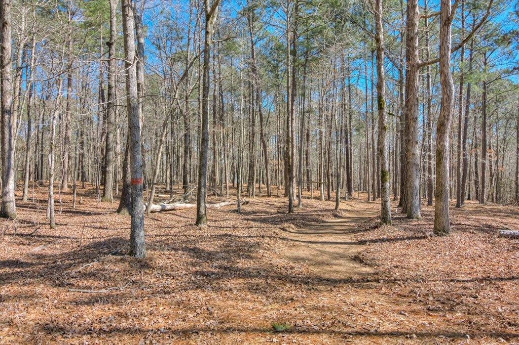 1076 Providence Ferry Road Lincolnton, GA 30817 - Photo 60 of 66 Gallery Image 60