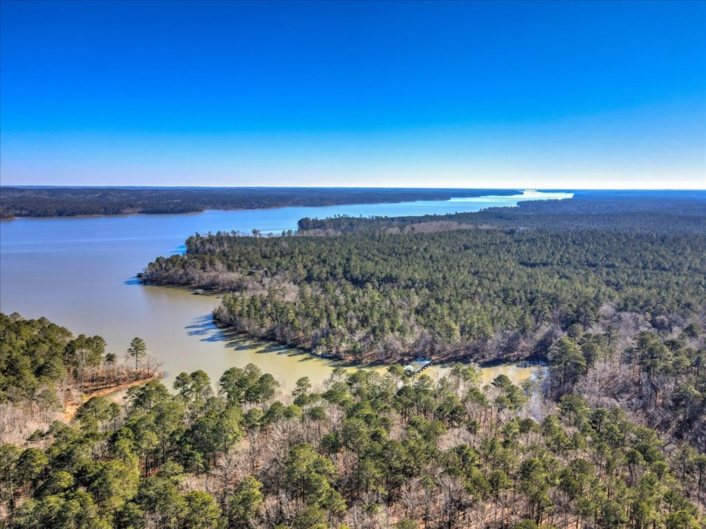 1076 Providence Ferry Road Lincolnton, GA 30817 - Photo 6 of 66 Gallery Image 6