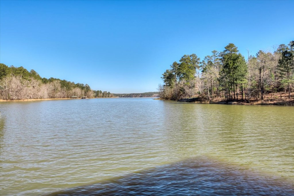 1076 Providence Ferry Road Lincolnton, GA 30817 - Photo 61 of 66 Gallery Image 61