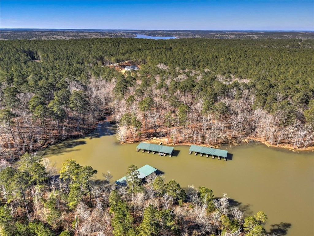 1076 Providence Ferry Road Lincolnton, GA 30817 - Photo 7 of 66 Gallery Image 7