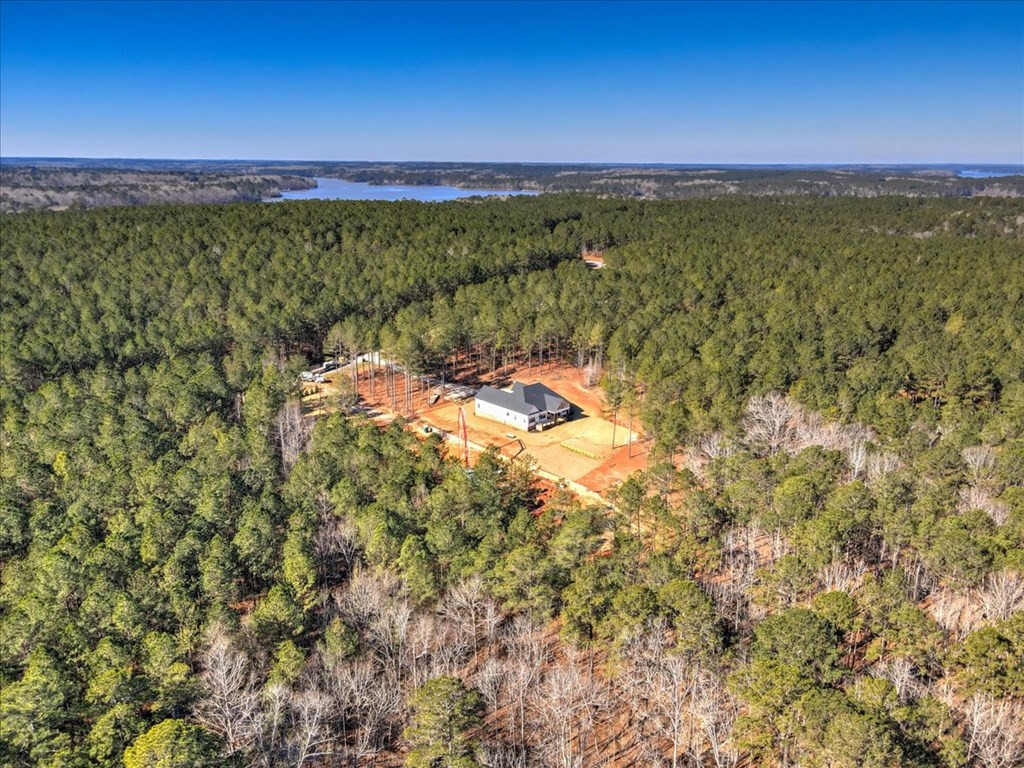 1076 Providence Ferry Road Lincolnton, GA 30817 - Photo 8 of 66 Gallery Image 8