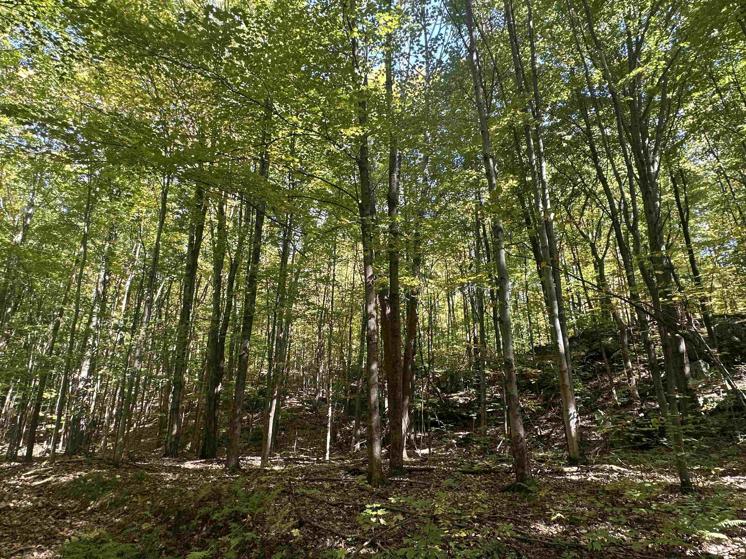 0 North Road Milton, VT 05468 - Photo 22 of 60