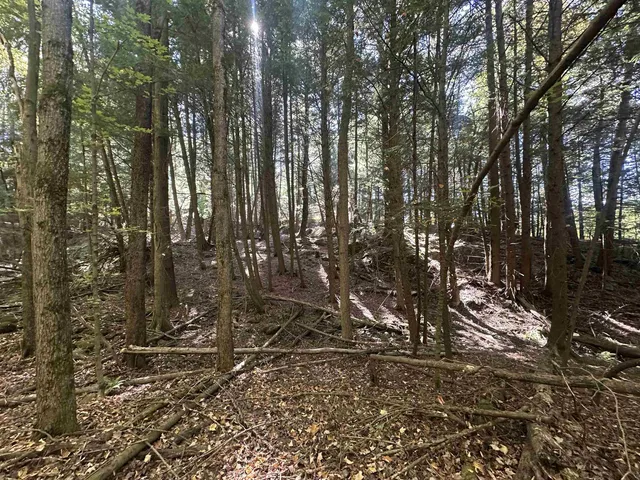 $1,250,000 | 0 North Road, Milton, VT 05468