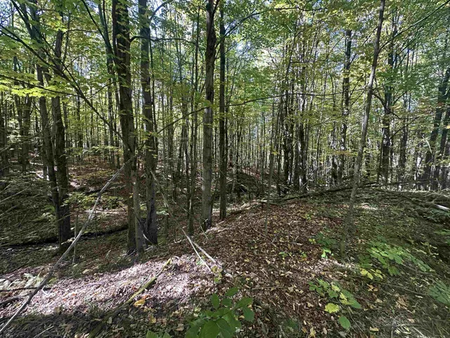 $1,250,000 | 0 North Road, Milton, VT 05468