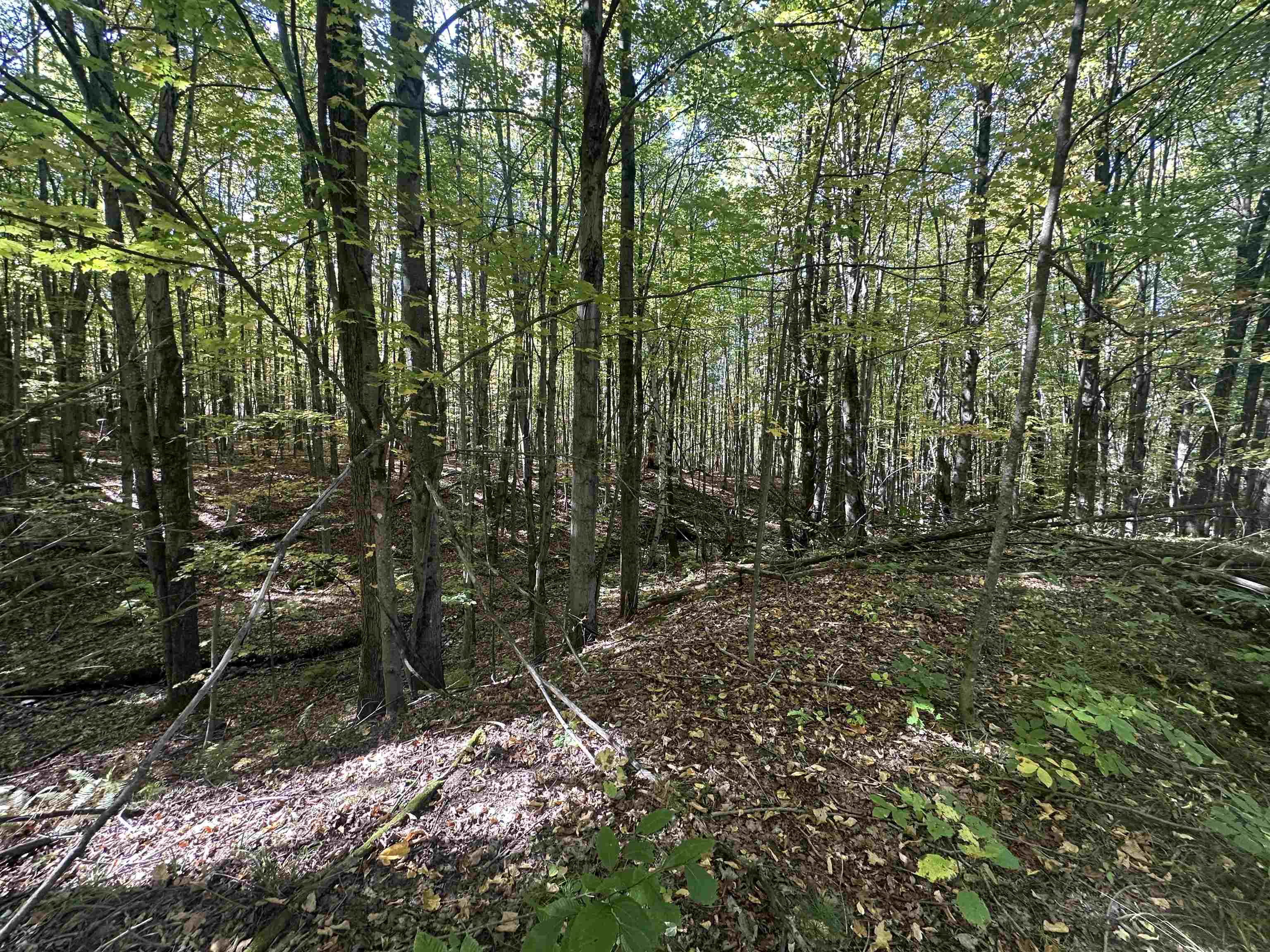 0 North Road Milton, VT 05468 - Photo 27 of 60