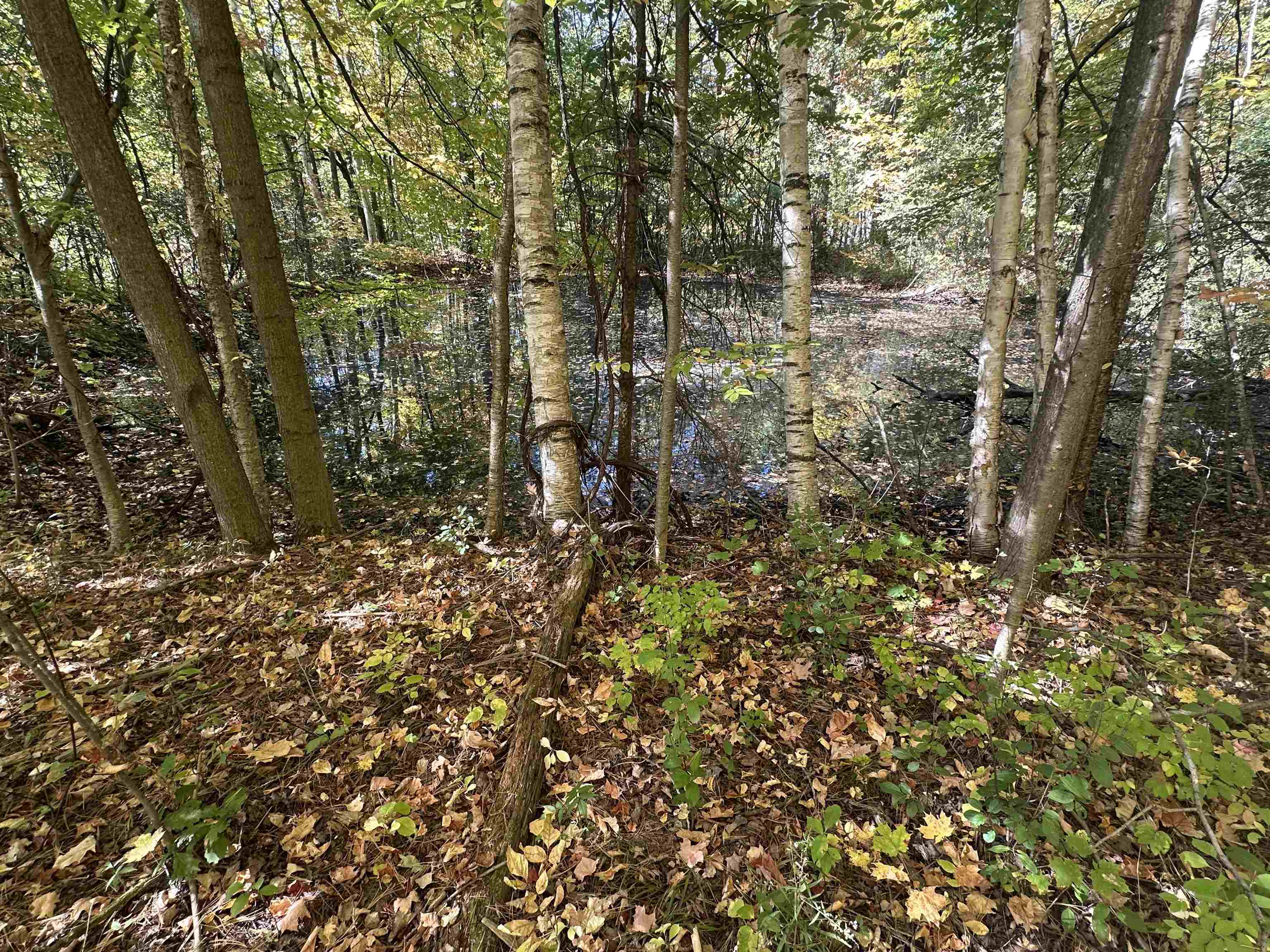 0 North Road Milton, VT 05468 - Photo 29 of 60