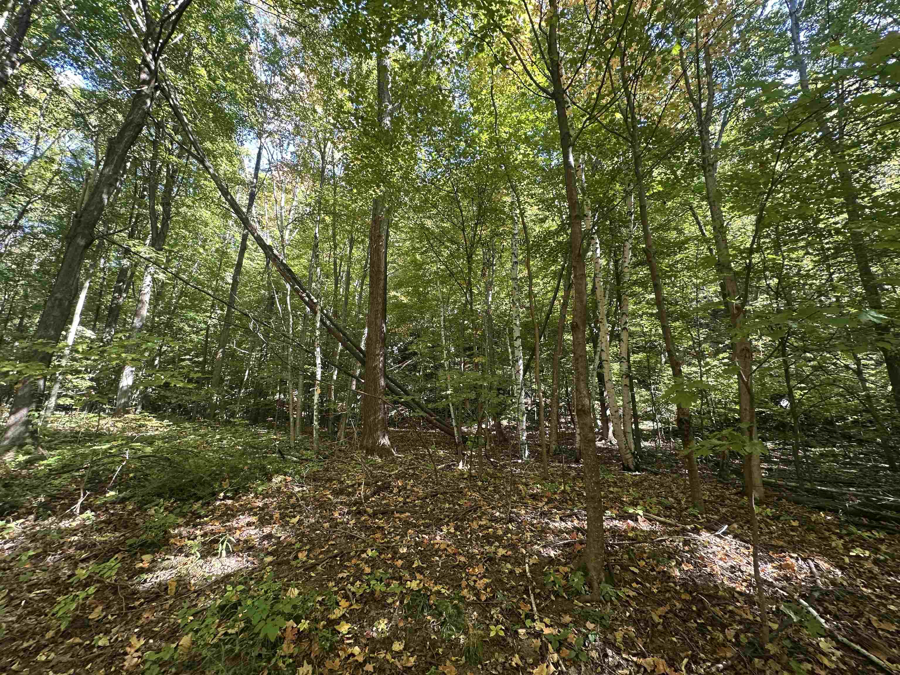 0 North Road Milton, VT 05468 - Photo 30 of 60