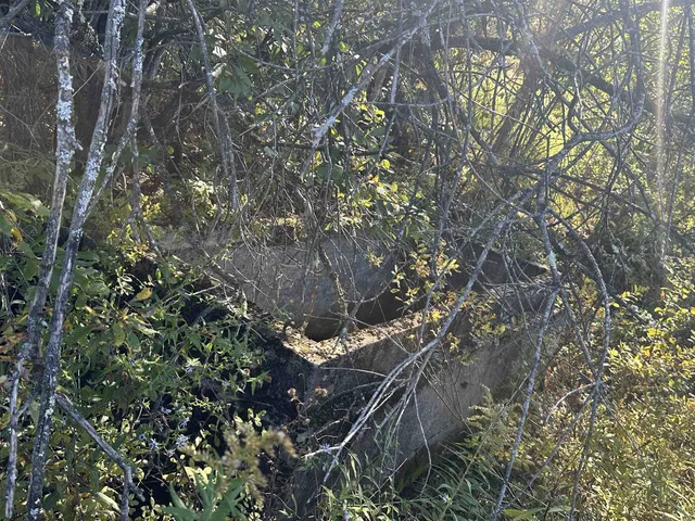 $1,250,000 | 0 North Road, Milton, VT 05468