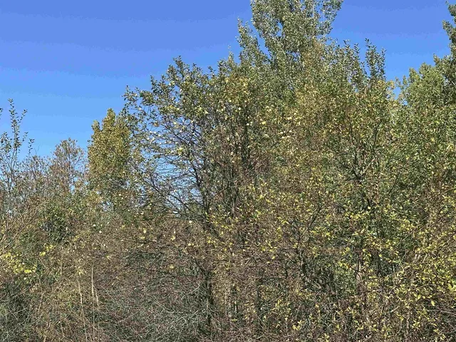 $1,250,000 | 0 North Road, Milton, VT 05468