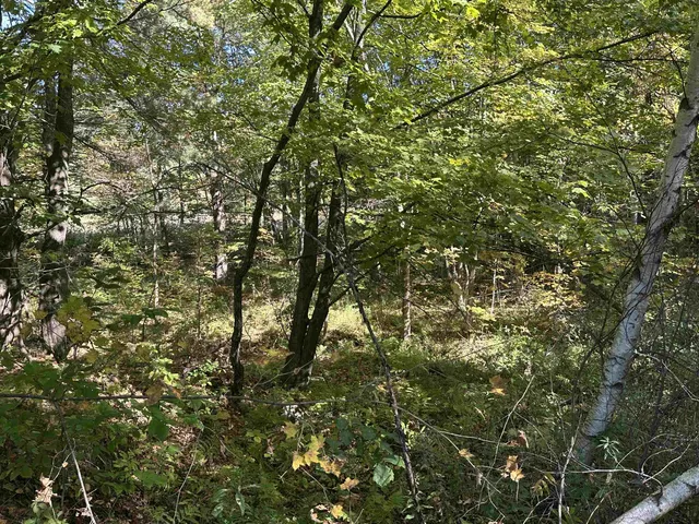 $1,250,000 | 0 North Road, Milton, VT 05468