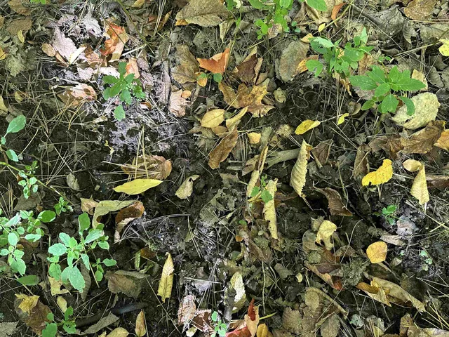 $1,250,000 | 0 North Road, Milton, VT 05468