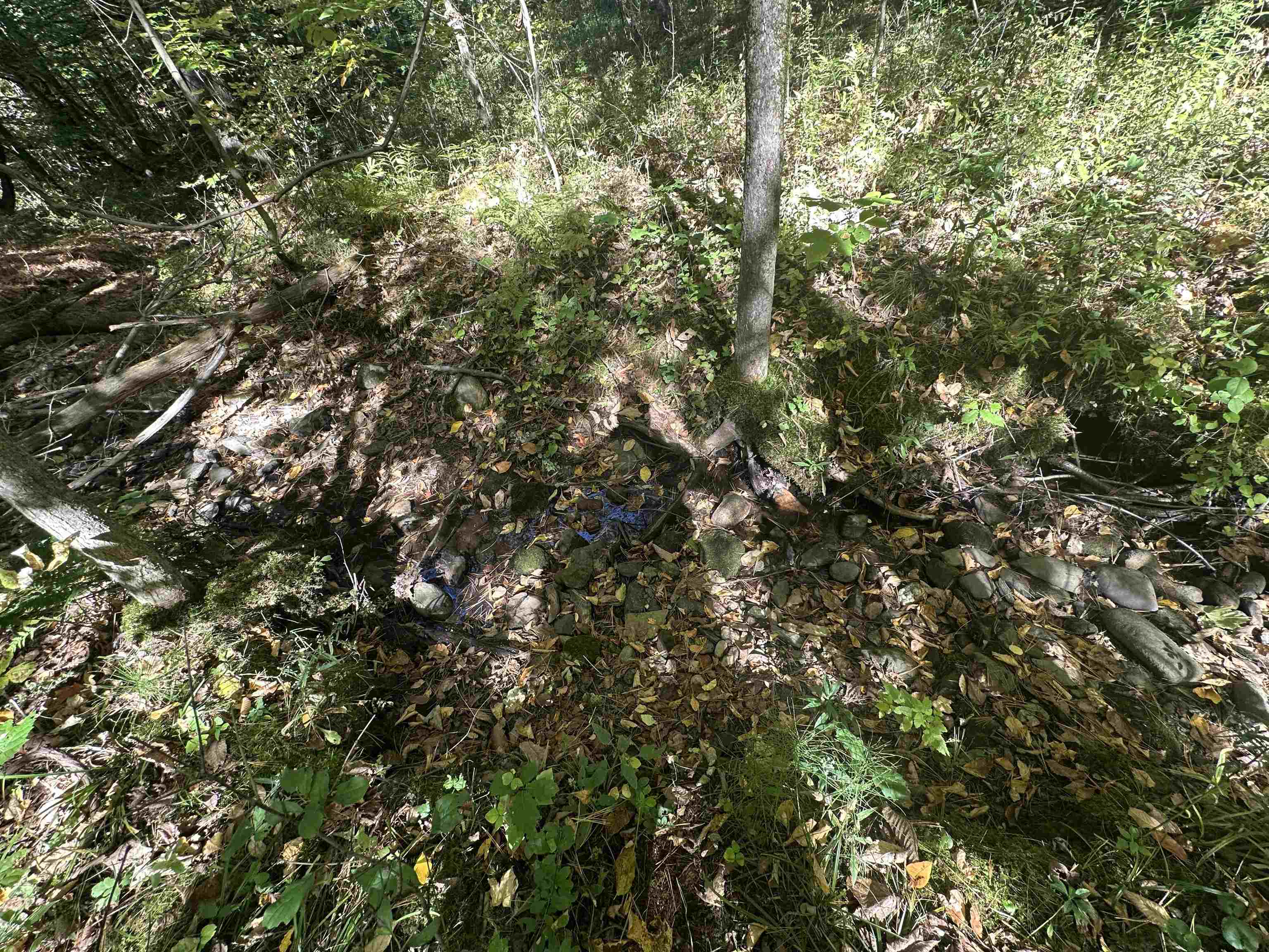 0 North Road Milton, VT 05468 - Photo 38 of 60