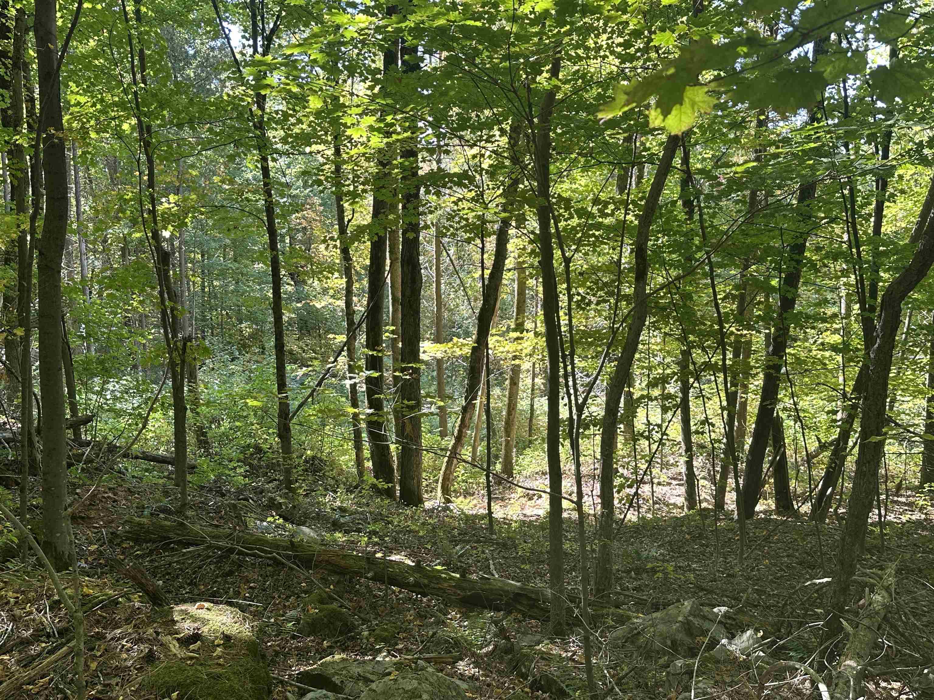 0 North Road Milton, VT 05468 - Photo 40 of 60