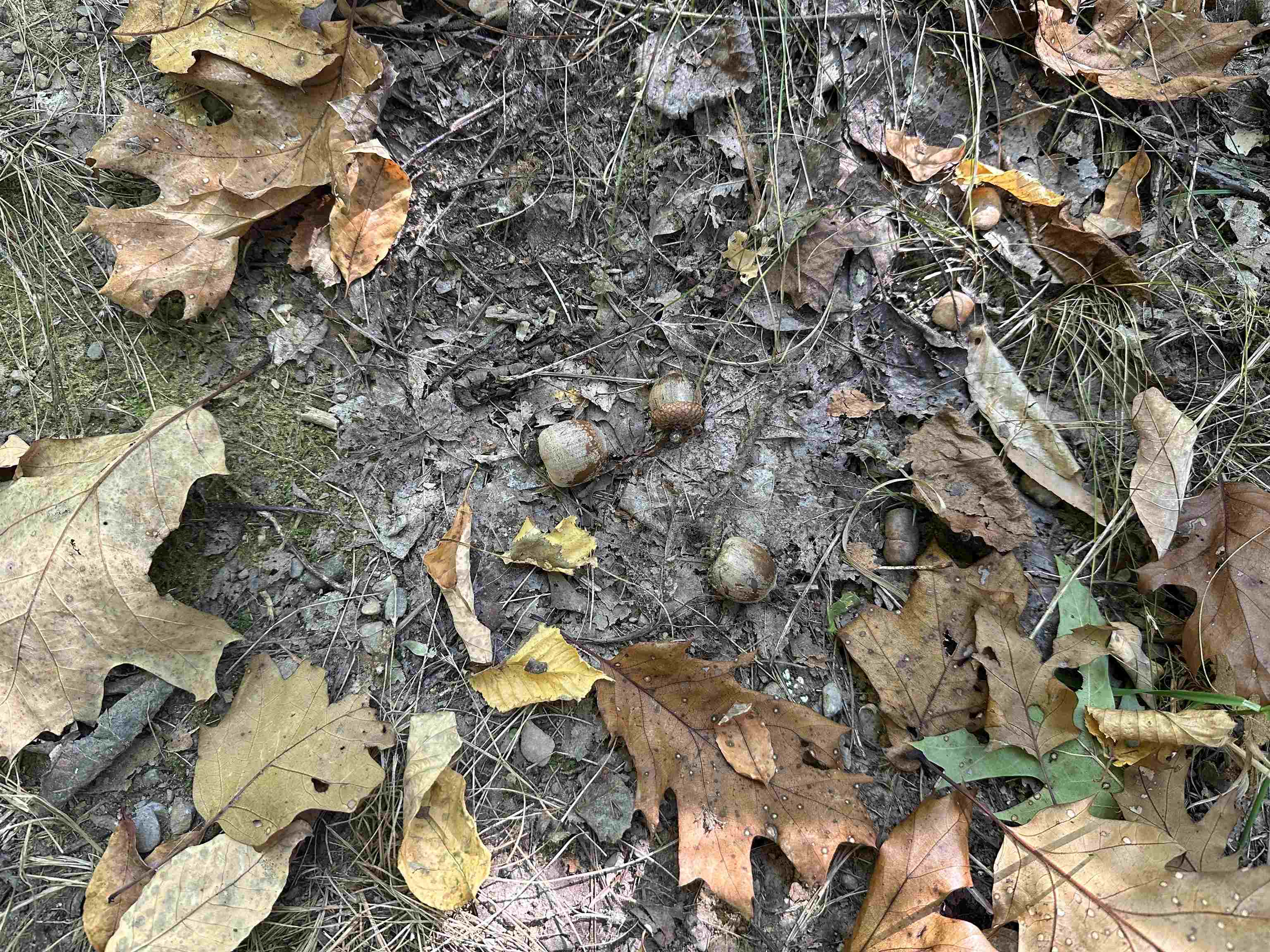 0 North Road Milton, VT 05468 - Photo 41 of 60