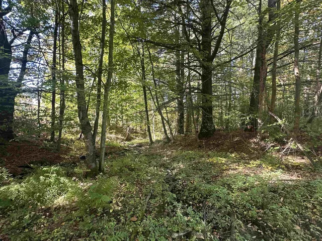 $1,250,000 | 0 North Road, Milton, VT 05468