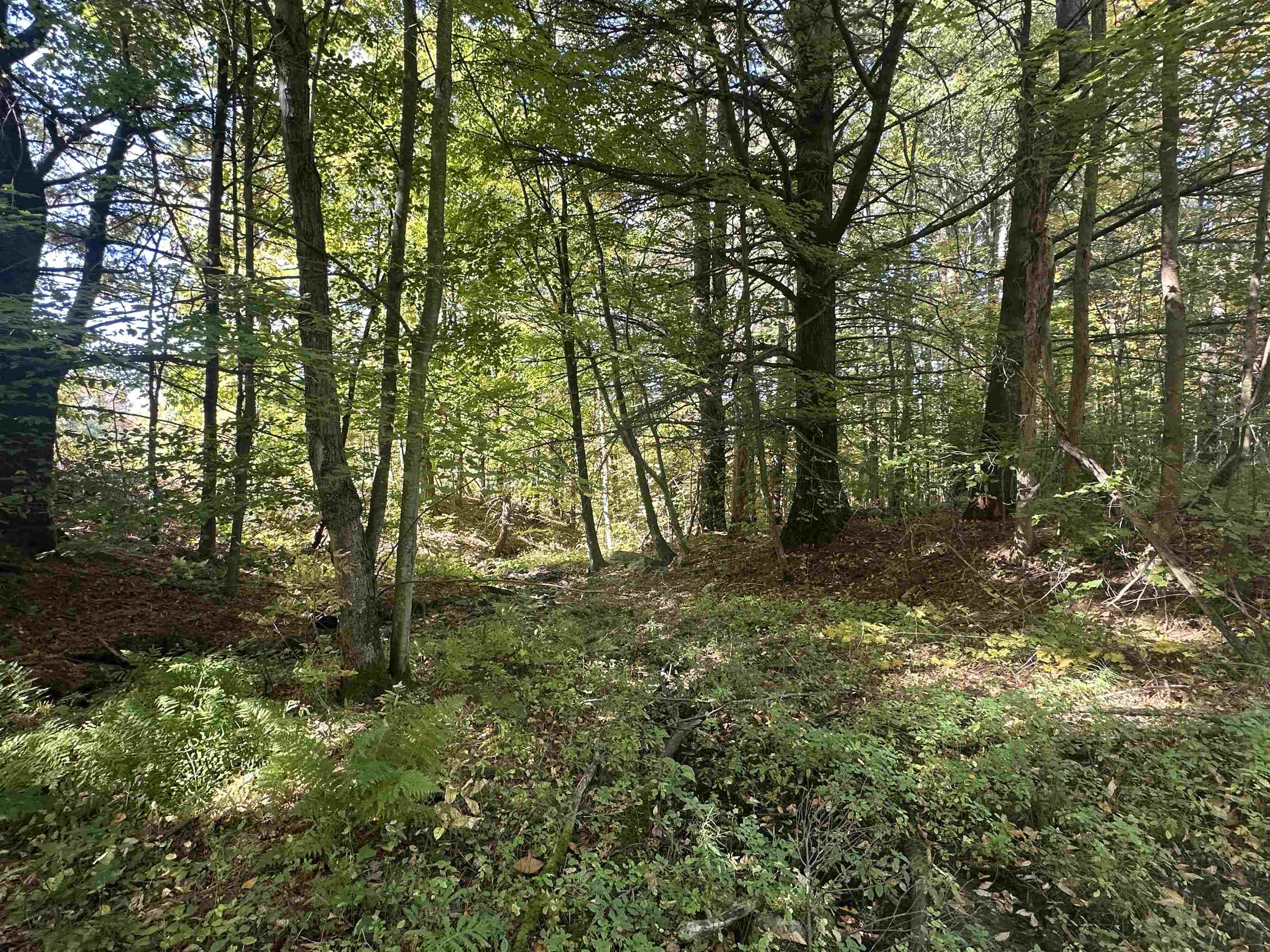 0 North Road Milton, VT 05468 - Photo 43 of 60