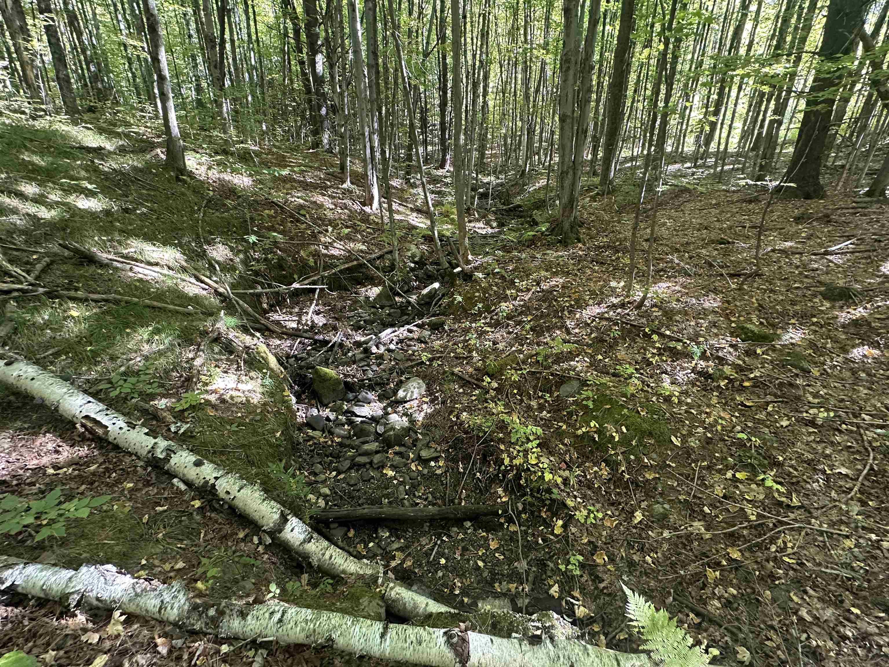 0 North Road Milton, VT 05468 - Photo 46 of 60